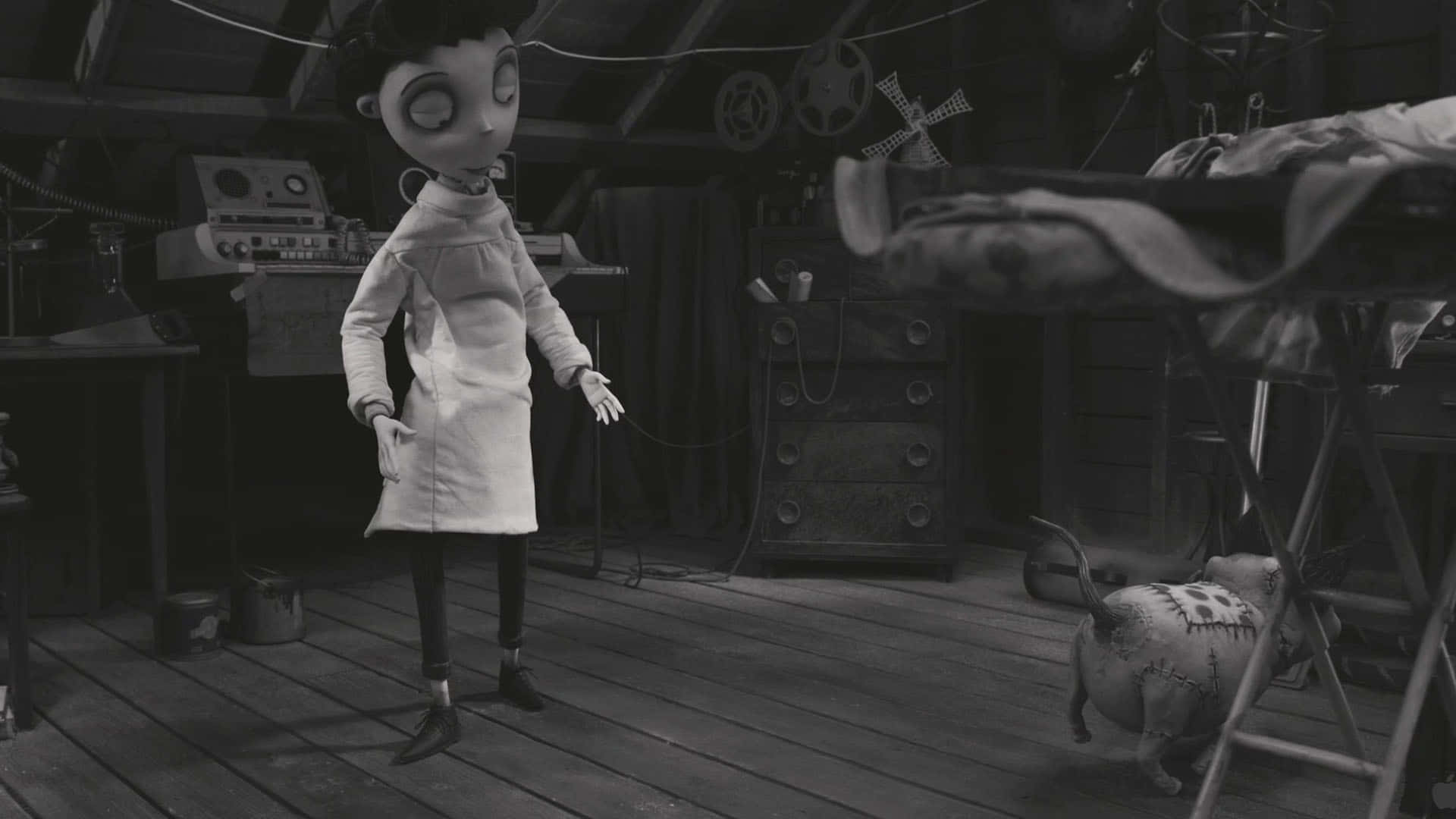Frankenweenie 背景 壁紙