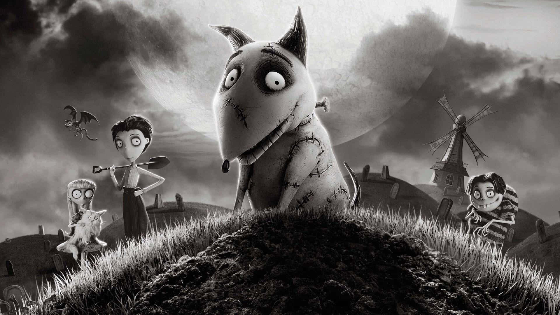 Frankenweenie 背景 壁紙