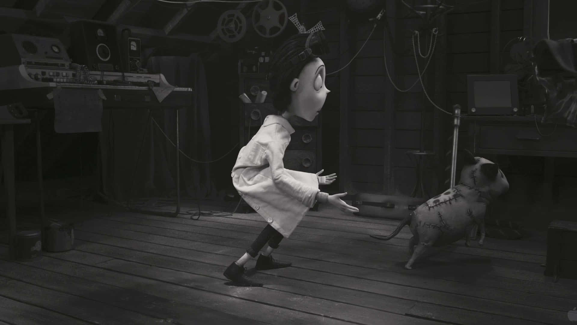 Frankenweenie 背景 壁紙