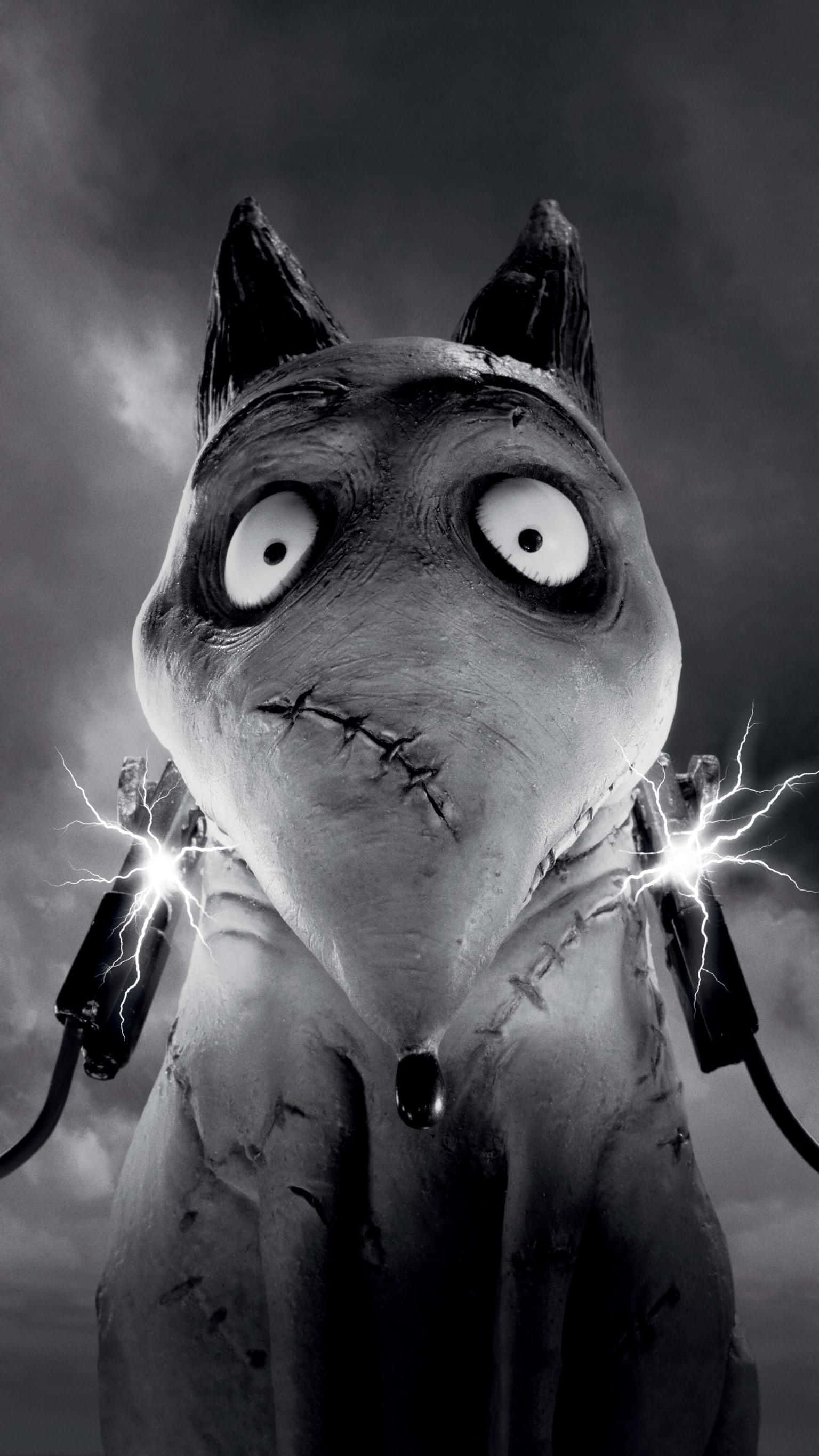Frankenweenie 背景 壁紙