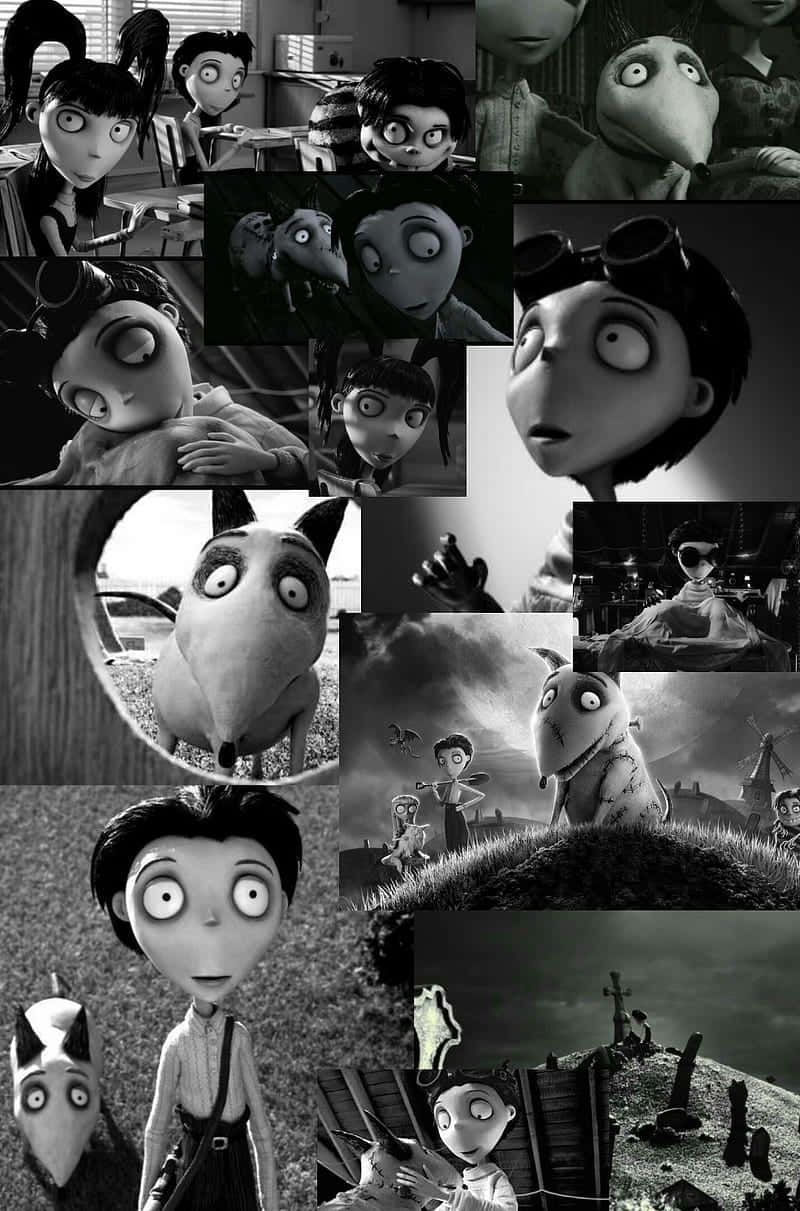 Frankenweenie 背景 壁紙