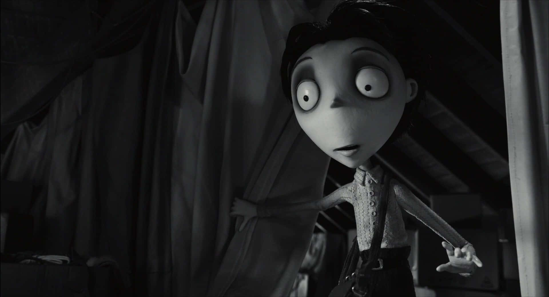 Frankenweenie 背景 壁紙