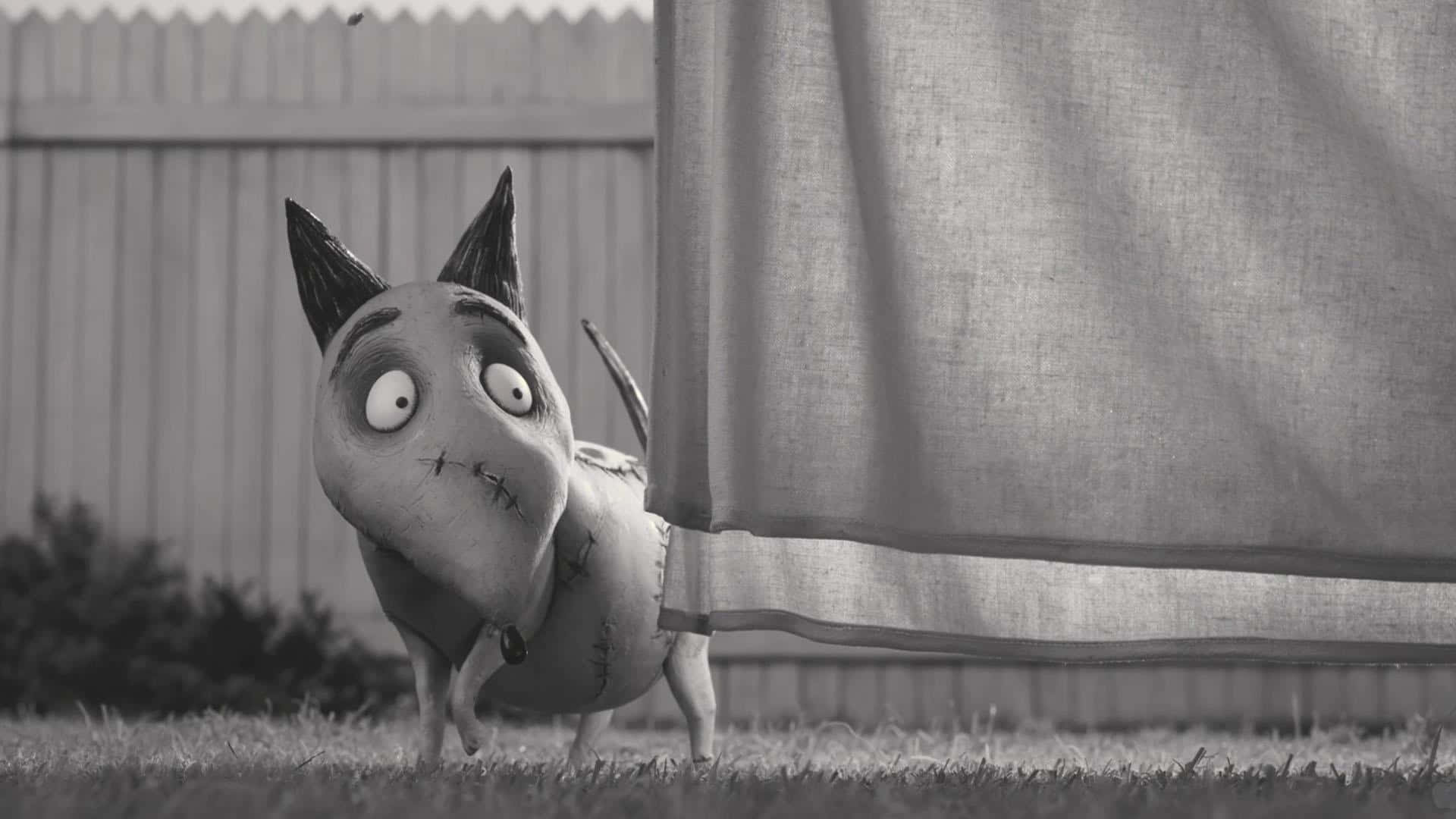 Frankenweenie 背景 壁紙