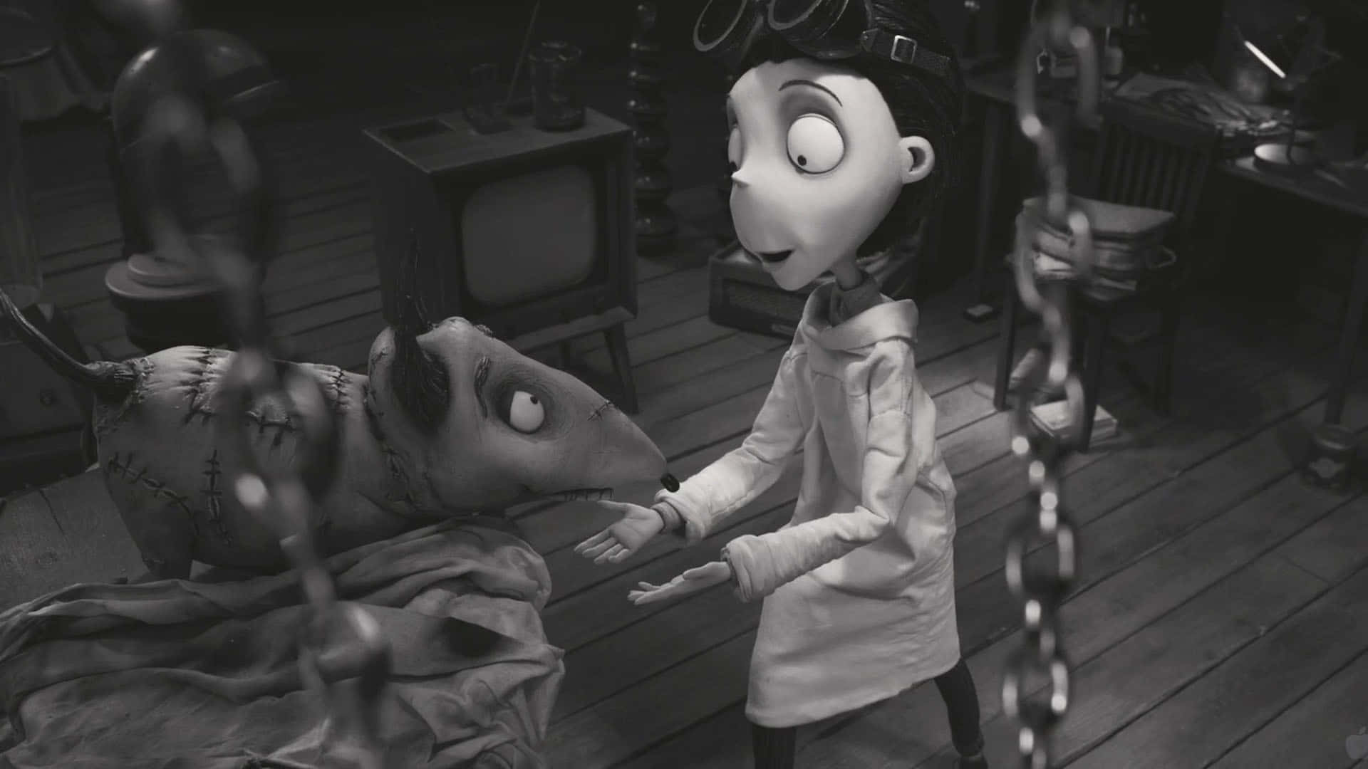 Frankenweenie 背景 壁紙