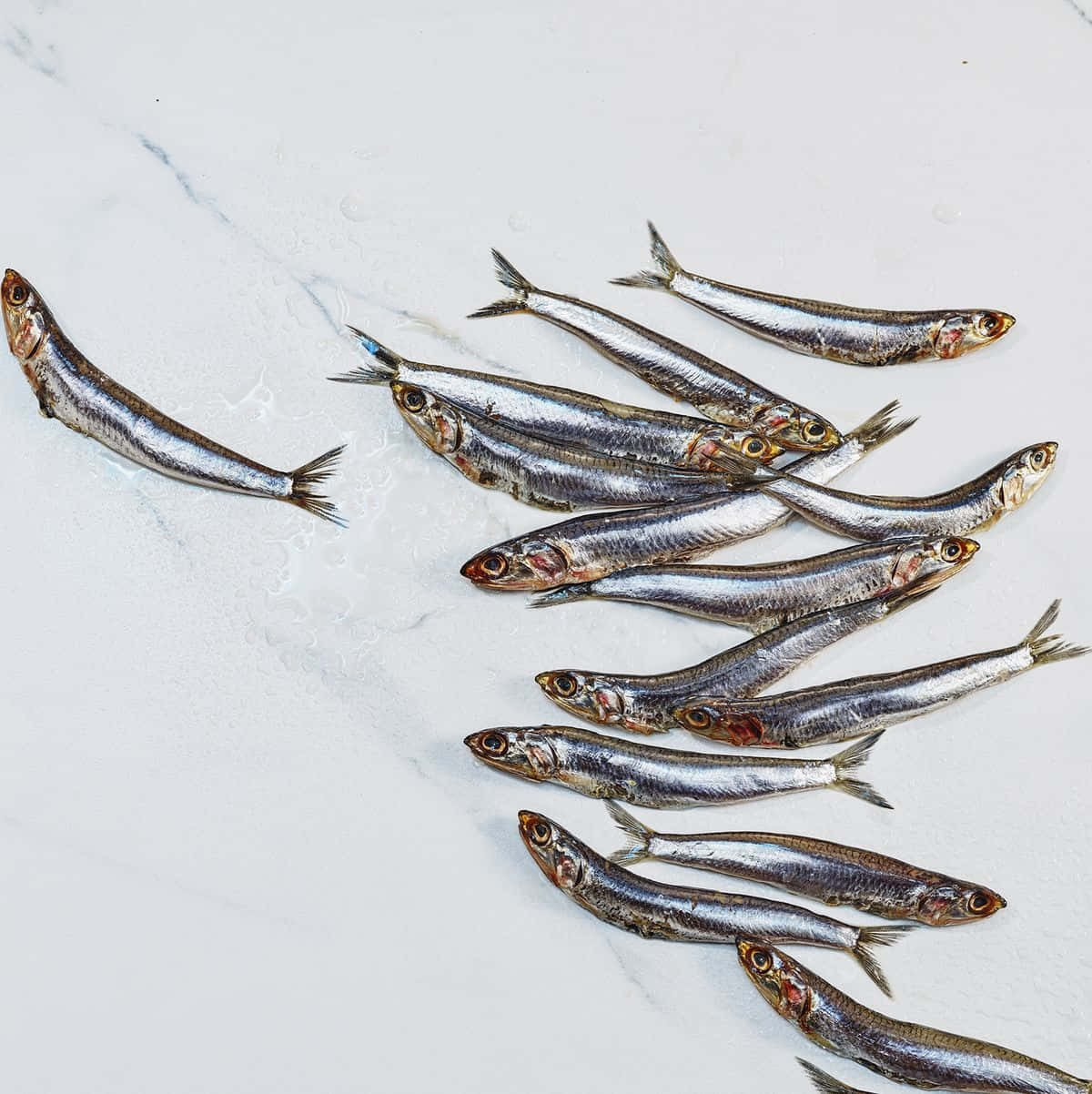  壁紙 — 新鮮嘅細銀魚排列喺白色雲石表面上，帶有水珠。