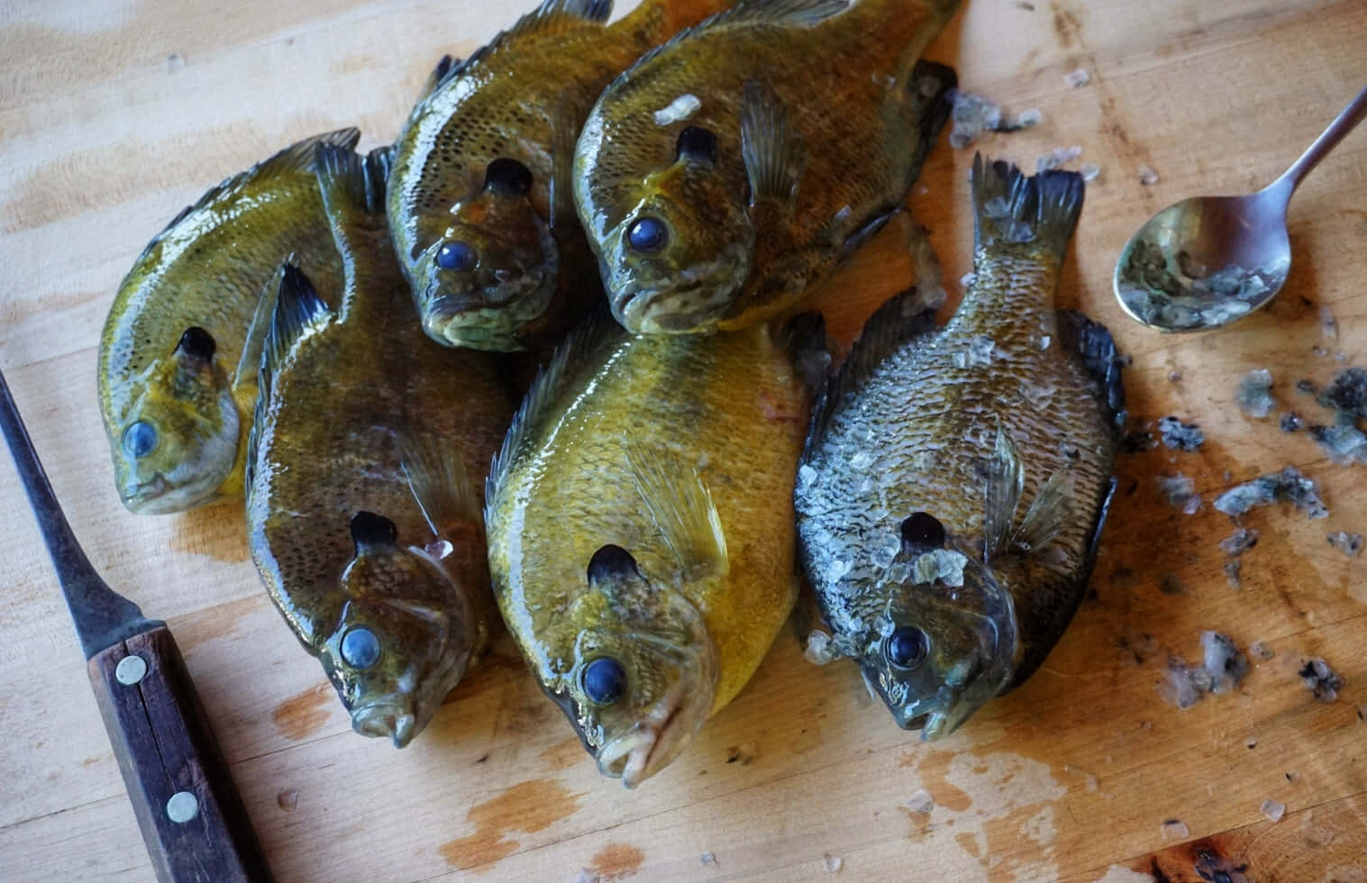  壁紙 — 新鮮捕獲的翻車魚，帶有引人注目的藍色眼睛，放在一個風化的木製砧板上，旁邊有一把刀和勺子。