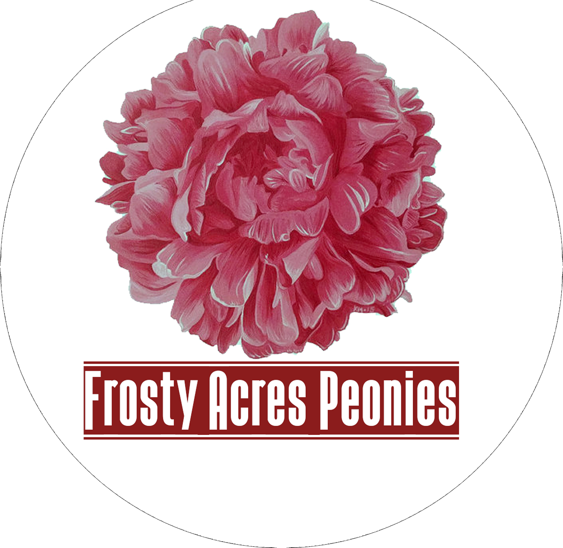 Frosty Acres Peonies 標誌 壁紙 — 一幅詳細插圖，描繪一朵茂盛的粉紅色牡丹，帶有精緻的白色高光，位於白色圓圈中央，背景為黑色。