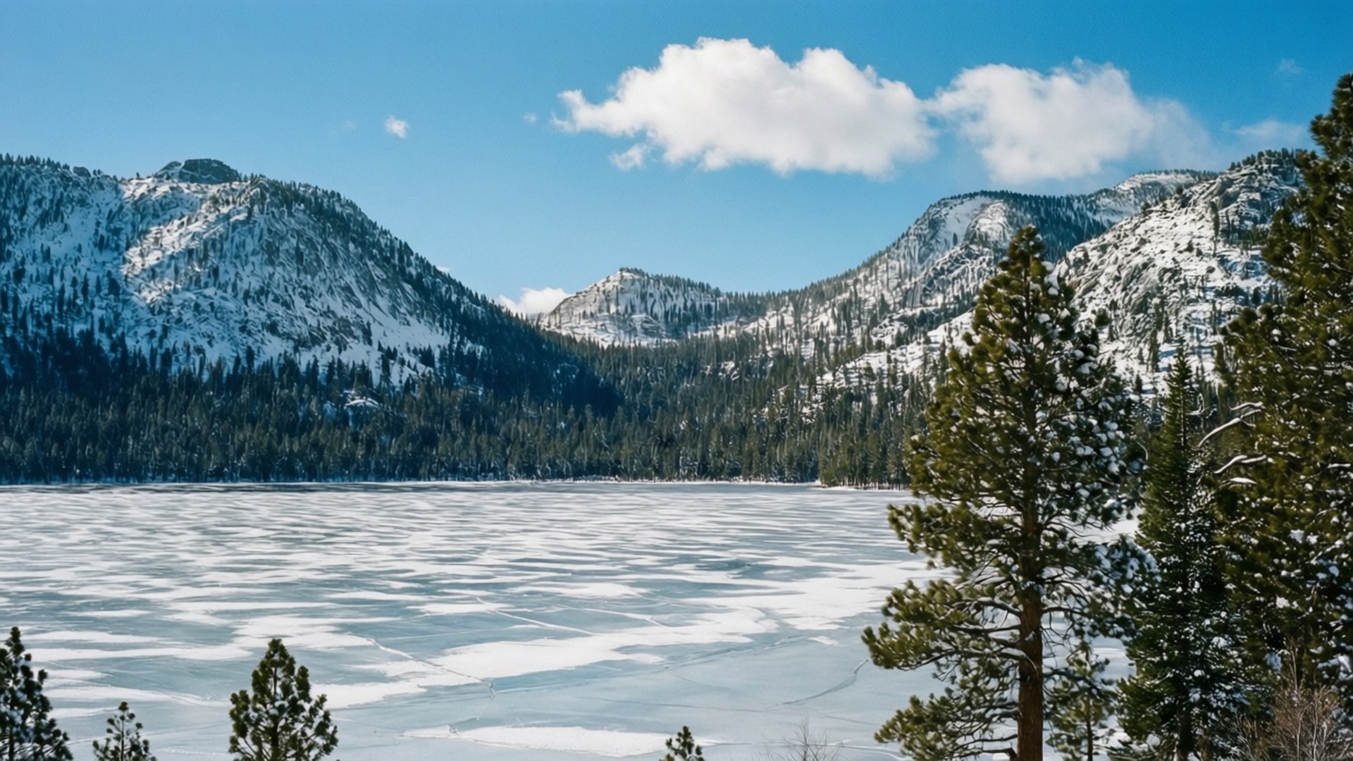Tahoe Winter Wonderland 壁紙 — 一個被白雪覆蓋的松樹林和高聳山脈環繞的冰凍湖泊，在明亮的藍天下有蓬鬆的雲朵。