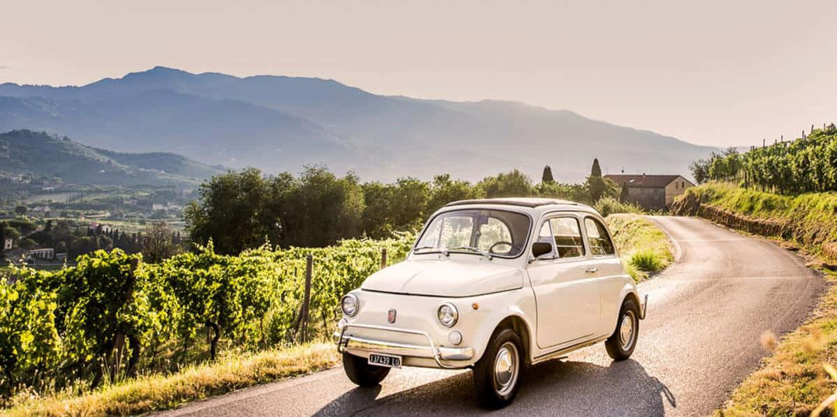 Fiat 500 桌布 壁紙 — 一輛復古白色菲亞特500沿著蜿蜒的道路行駛，穿過陽光明媚的葡萄園，背景是起伏的丘陵。