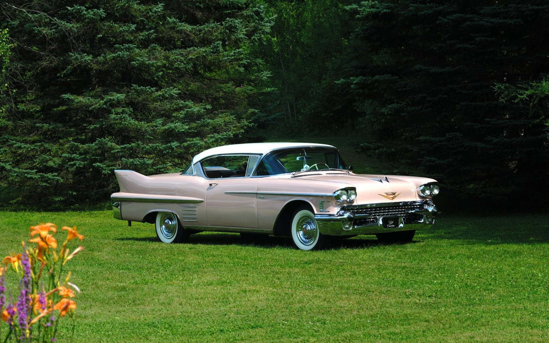 Cadillac Deville 桌布 壁紙 — 一輛白色車頂的復古粉紅色凱迪拉克停泊在綠色草地上，前方是茂密的森林，前景有橙色和紫色的花朵。