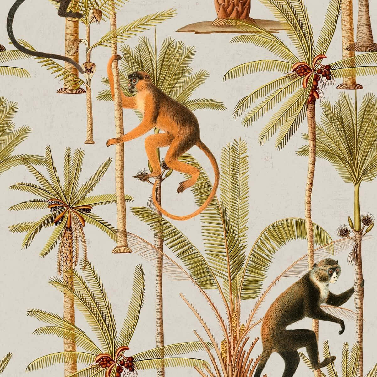 Squirrel Monkey 桌布 壁紙 — 復古植物插圖，描繪猴子在茂密的棕櫚樹間擺盪，樹上掛著椰子，背景為奶油色。