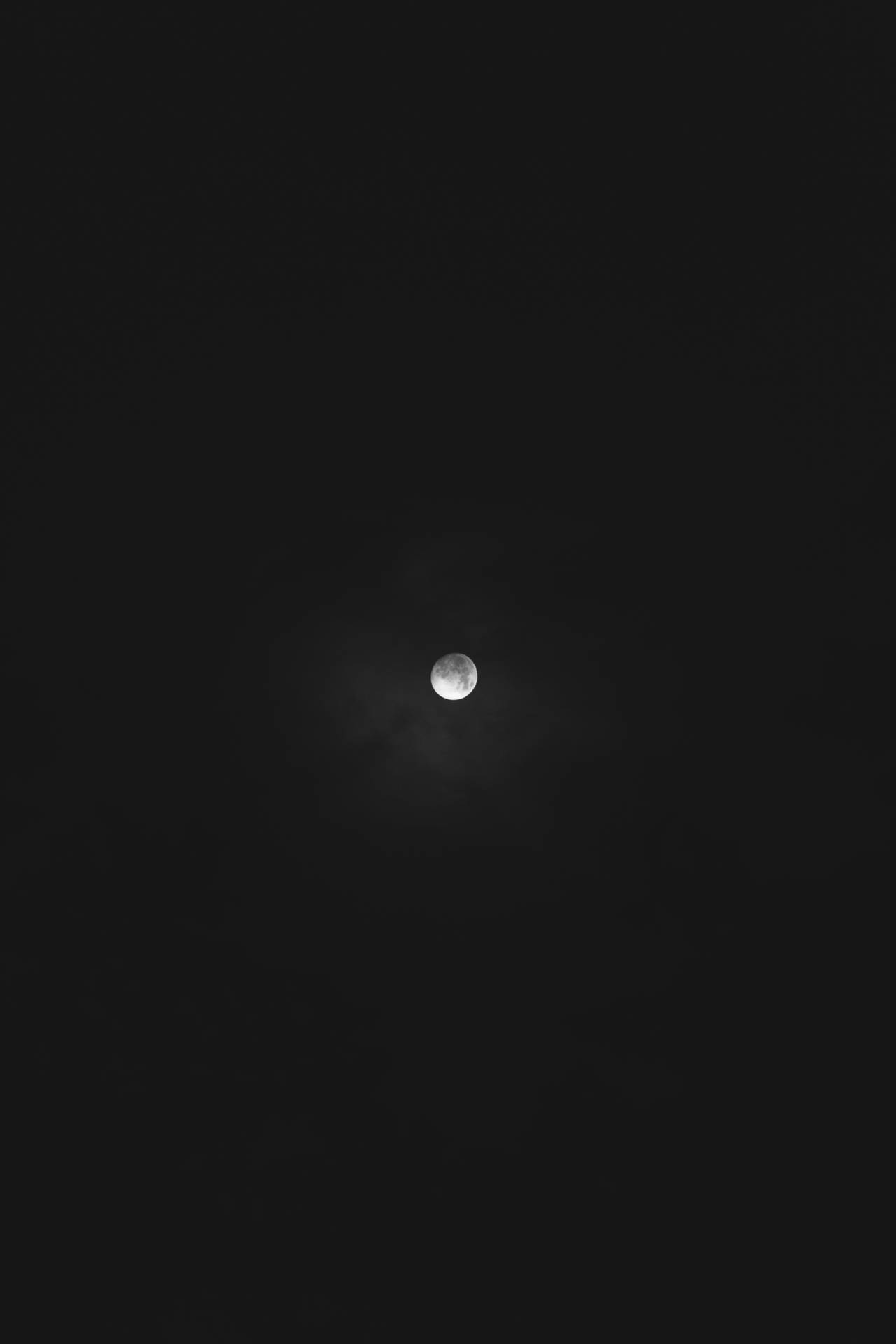 滿月在漆黑的午夜天空中。從下方仰望月亮。明亮的月光。