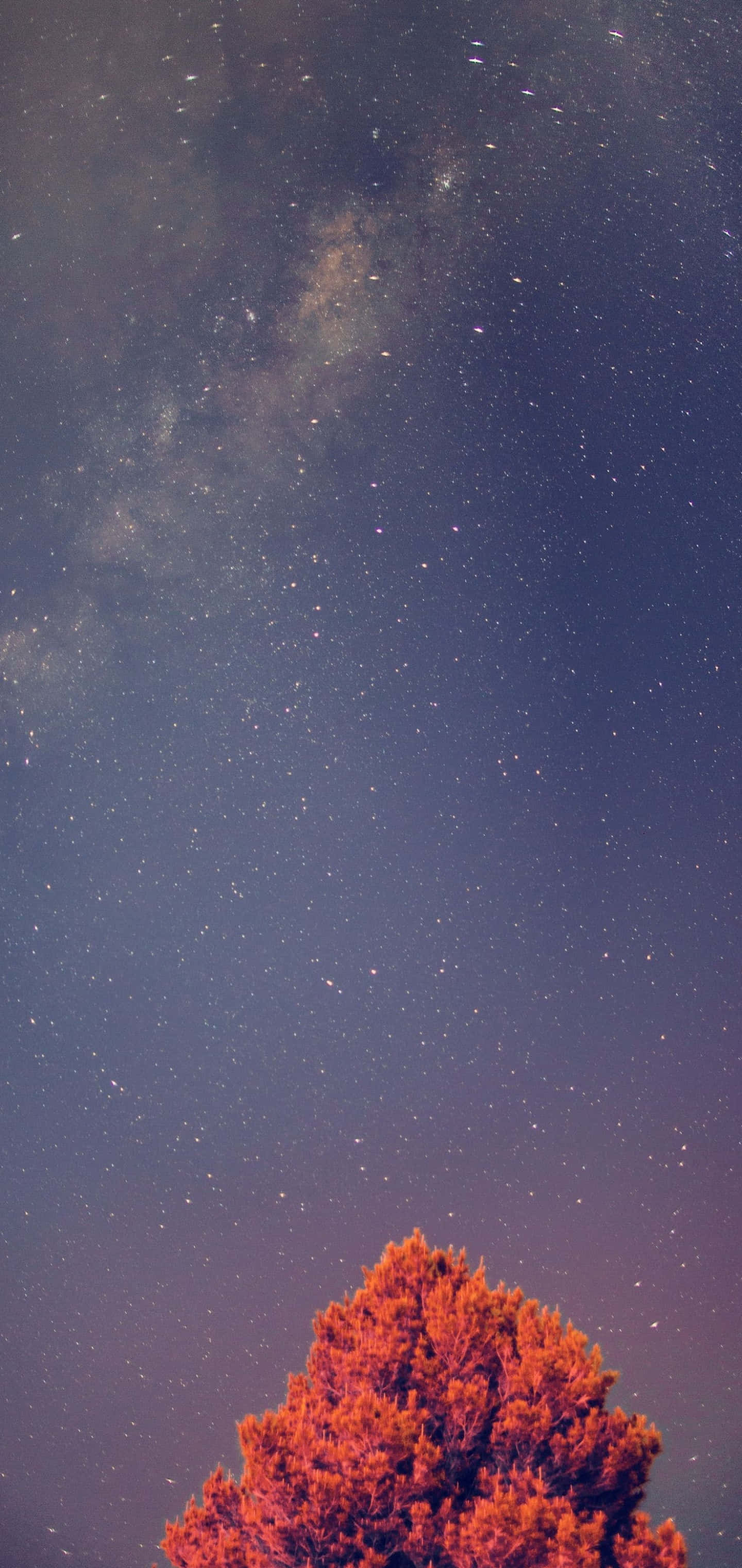 Galaxy S10 Plus 背景 壁紙