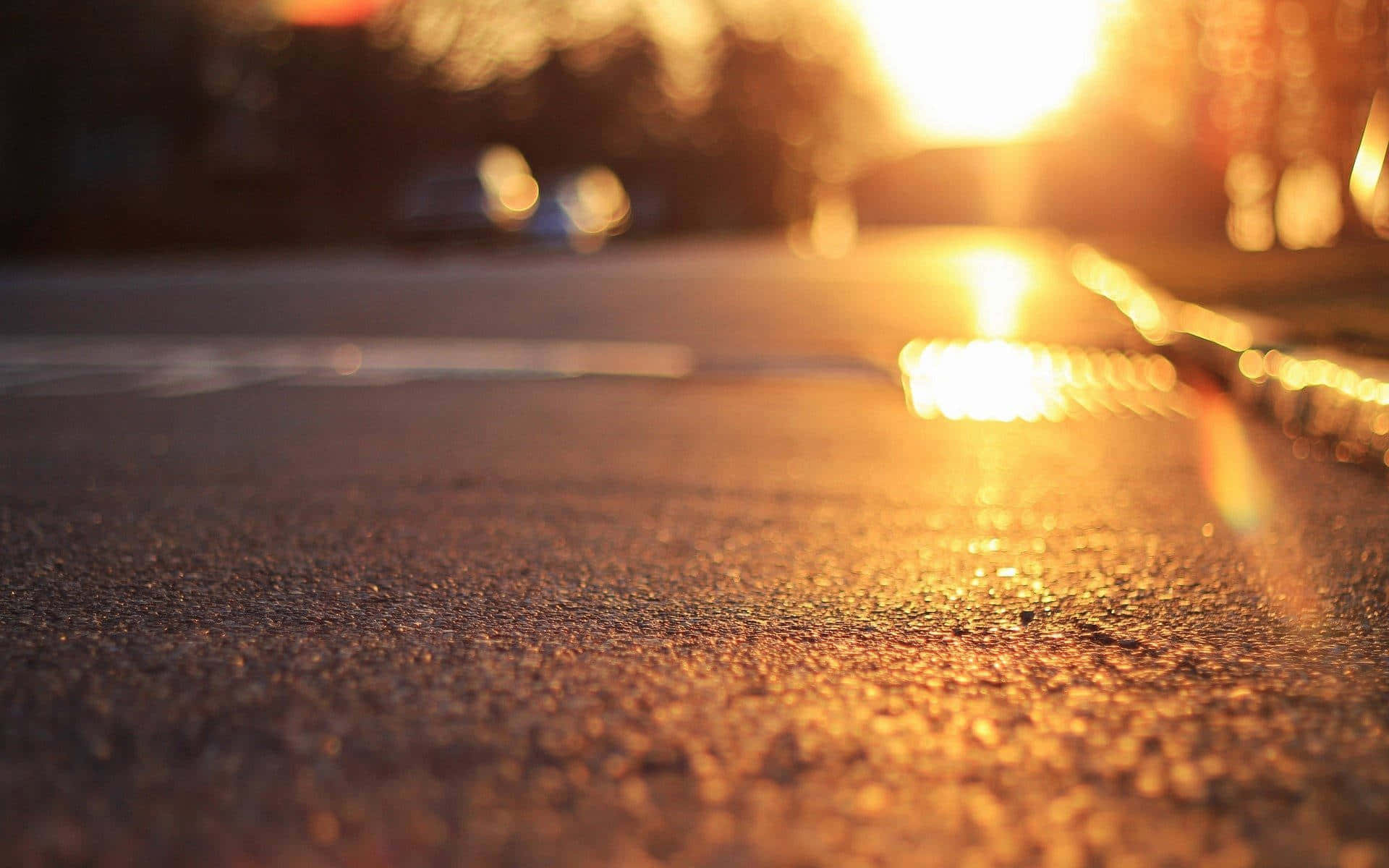 濕瀝青路反射金色夕陽光線，背景模糊。