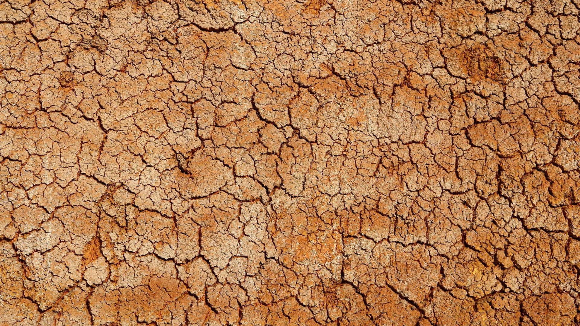  壁紙 — 乾裂土地的近距離特寫，呈現溫暖棕色和米色調的複雜裂紋圖案。