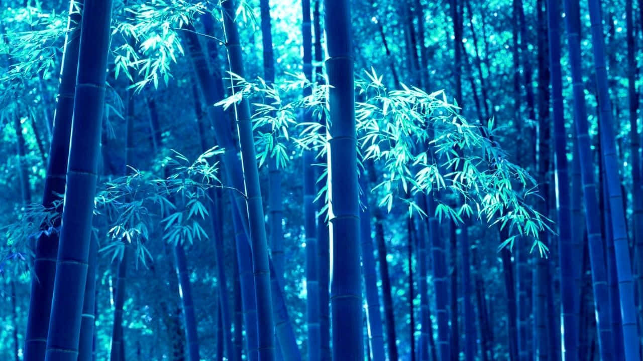  壁紙 — 高大的竹莖穿過一片清涼的藍色森林，沐浴在透過茂密樹葉灑落的空靈光線中。