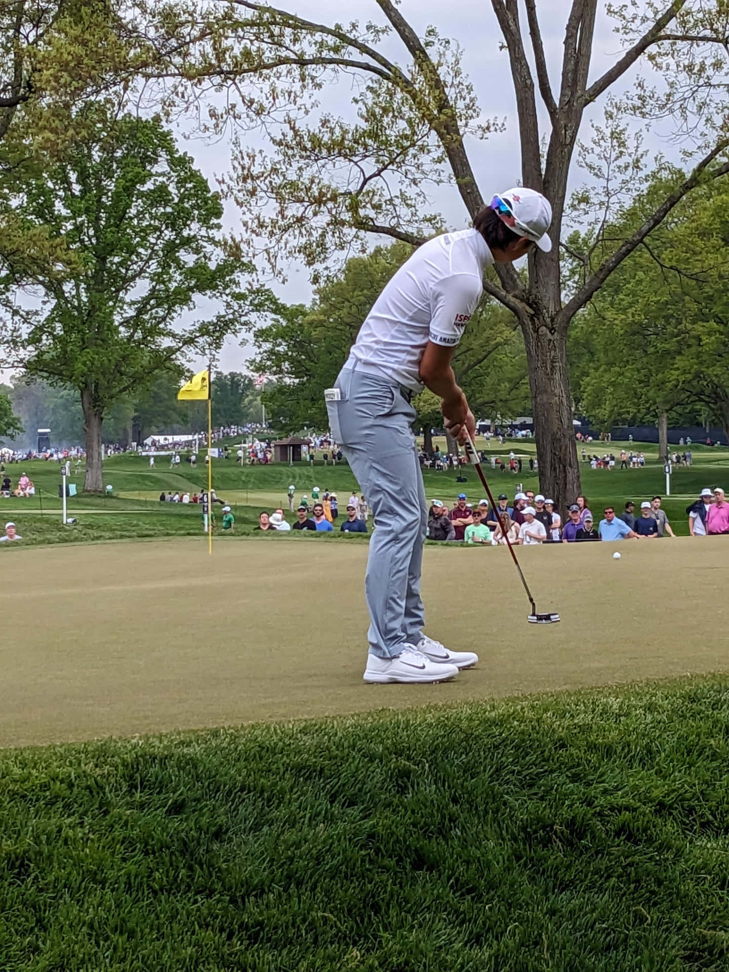  壁紙 — 一位身穿白色服裝的高爾夫球手在茂密的果嶺上準備推桿，觀眾在枝葉繁茂的樹下觀看。