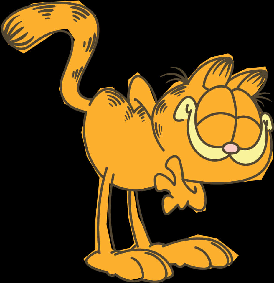 Garfield Cartoon Character Illustration 壁紙 — 一隻快樂的橙色卡通貓，尾巴彎曲，眼睛大大，站在黑色背景前。