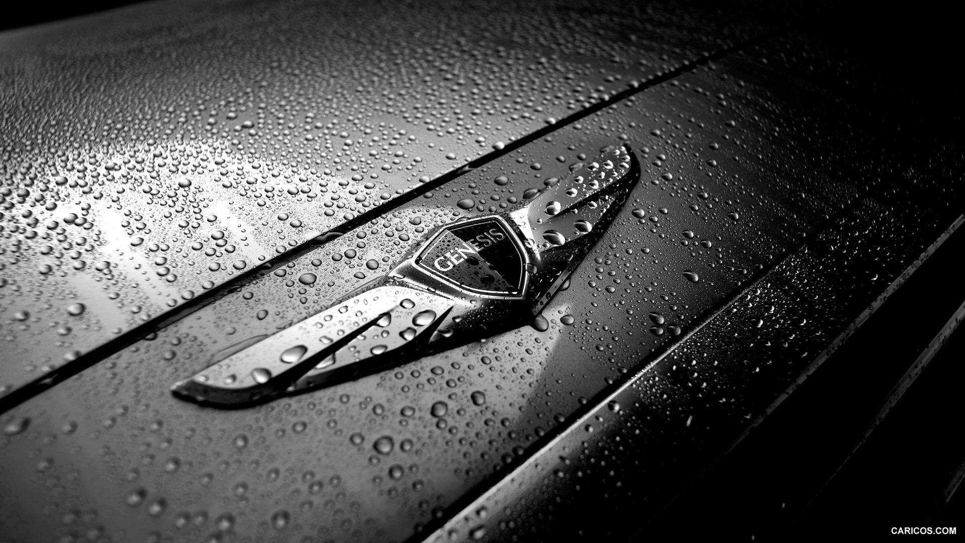現代 Genesis - 豪華駕駛體驗 壁紙 — Genesis 汽車標誌在潮濕引擎蓋上閃爍雨滴的黑白特寫。