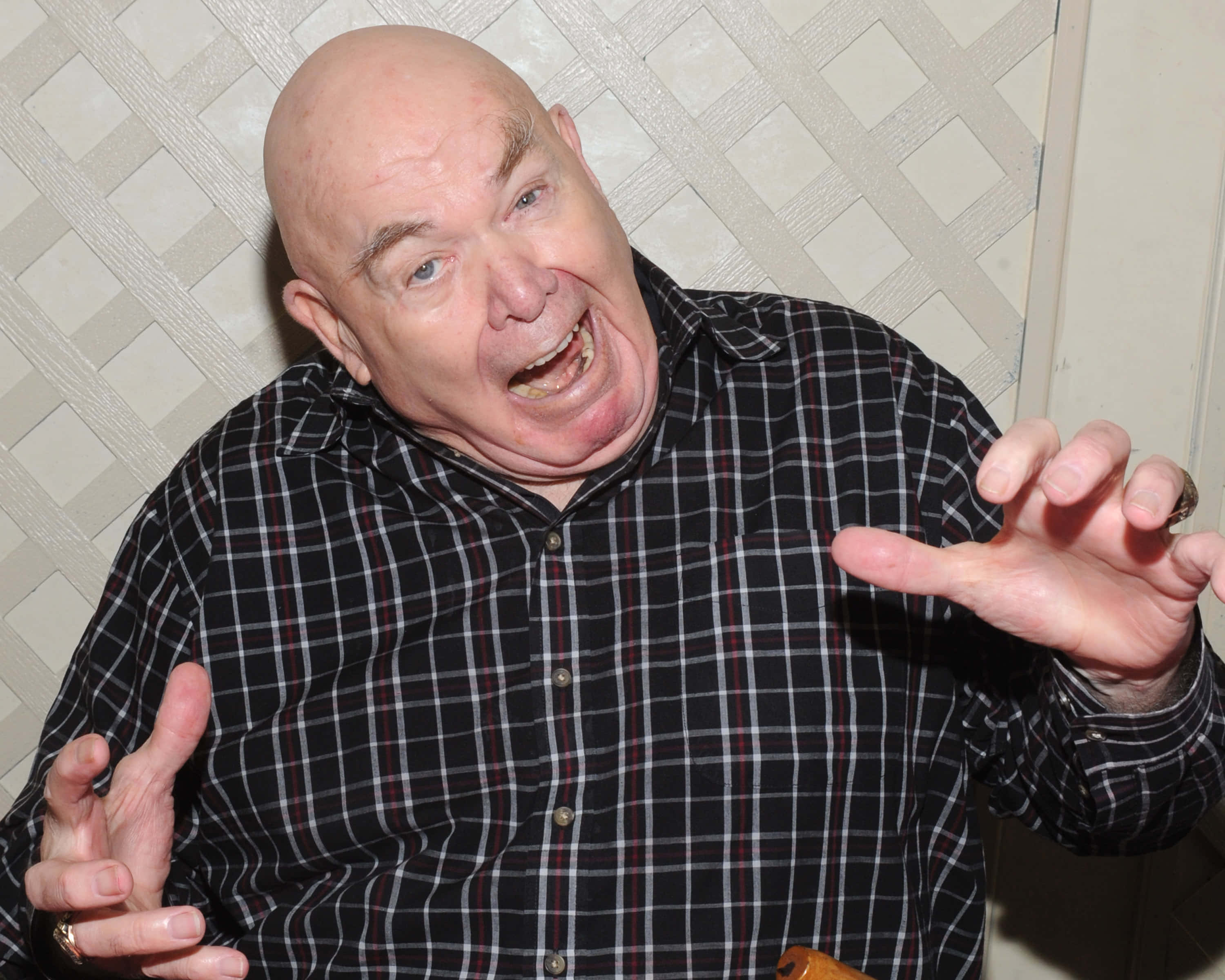 George Steele 搞笑表情姿勢 壁紙 — 一個光頭男人穿著格仔襯衫，雙手比劃著，對著格子牆狂笑。