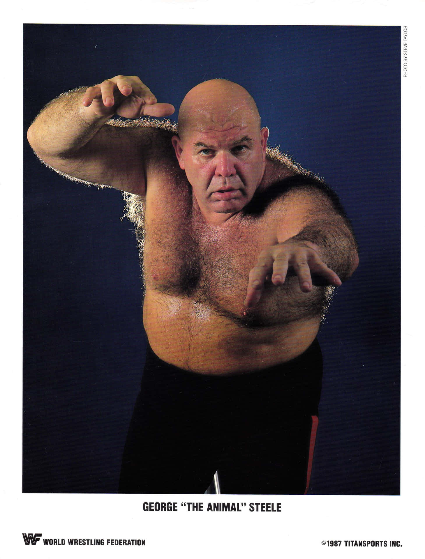摔角手 George 'The Animal' Steele 在深藍色背景前擺出侵略性姿勢。