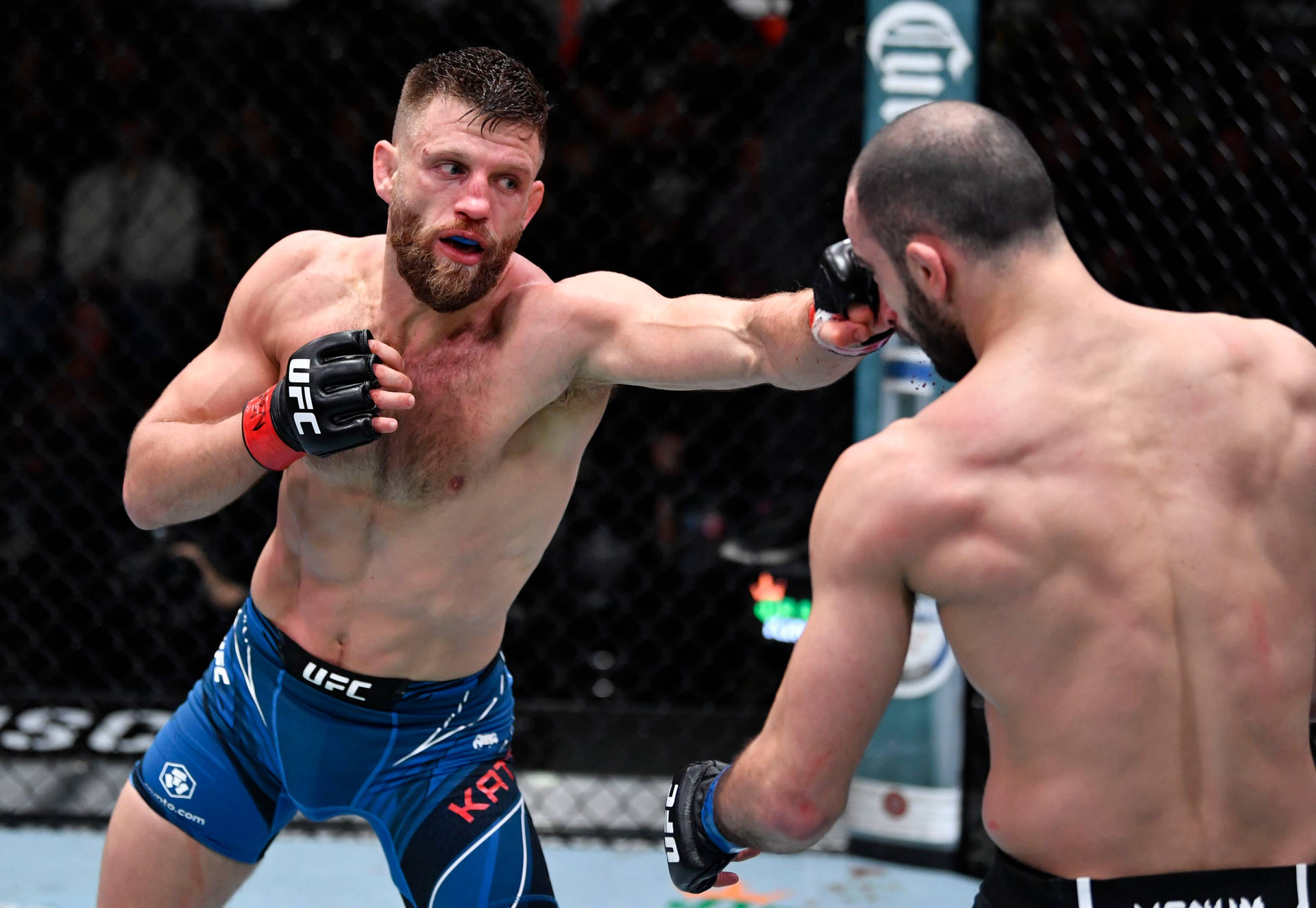 兩名戴著MMA手套的男性拳手在八角籠內互相出拳。