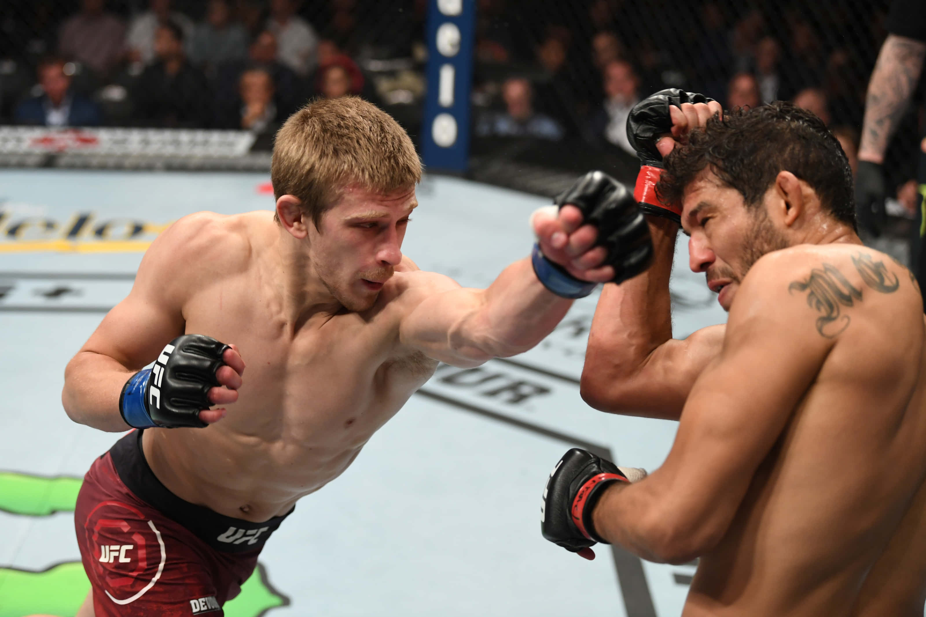 Gilbert Melendez對戰Arnold Allen UFC 239賽事 壁紙 — 兩名MMA拳手在激烈的鐵籠賽中交鋒，其中一人向對手頭部打出強力一拳。