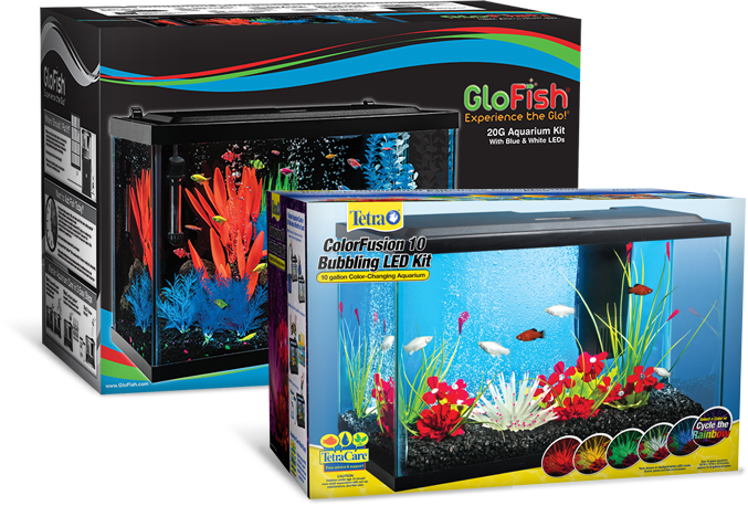 GloFish LED燈魚缸套裝 壁紙 — 兩個色彩繽紛的水族箱套件，配有鮮豔的LED照明和人造珊瑚植物，展示內部的魚類。