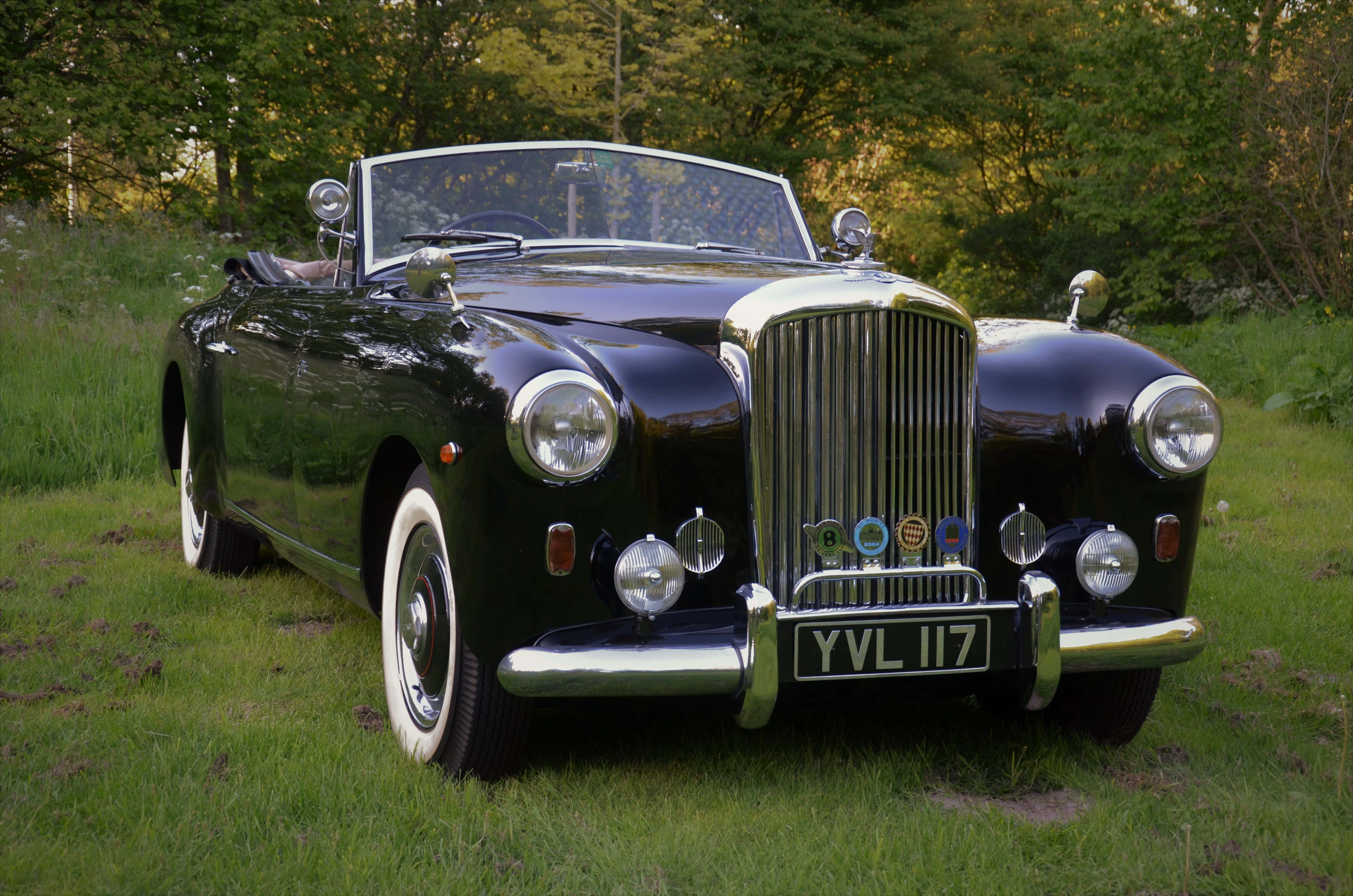 Bentley Mark Vi 桌布 壁紙 — 一輛閃亮的黑色復古敞篷跑車，帶有鍍鉻裝飾，停在樹木環繞的草地上。