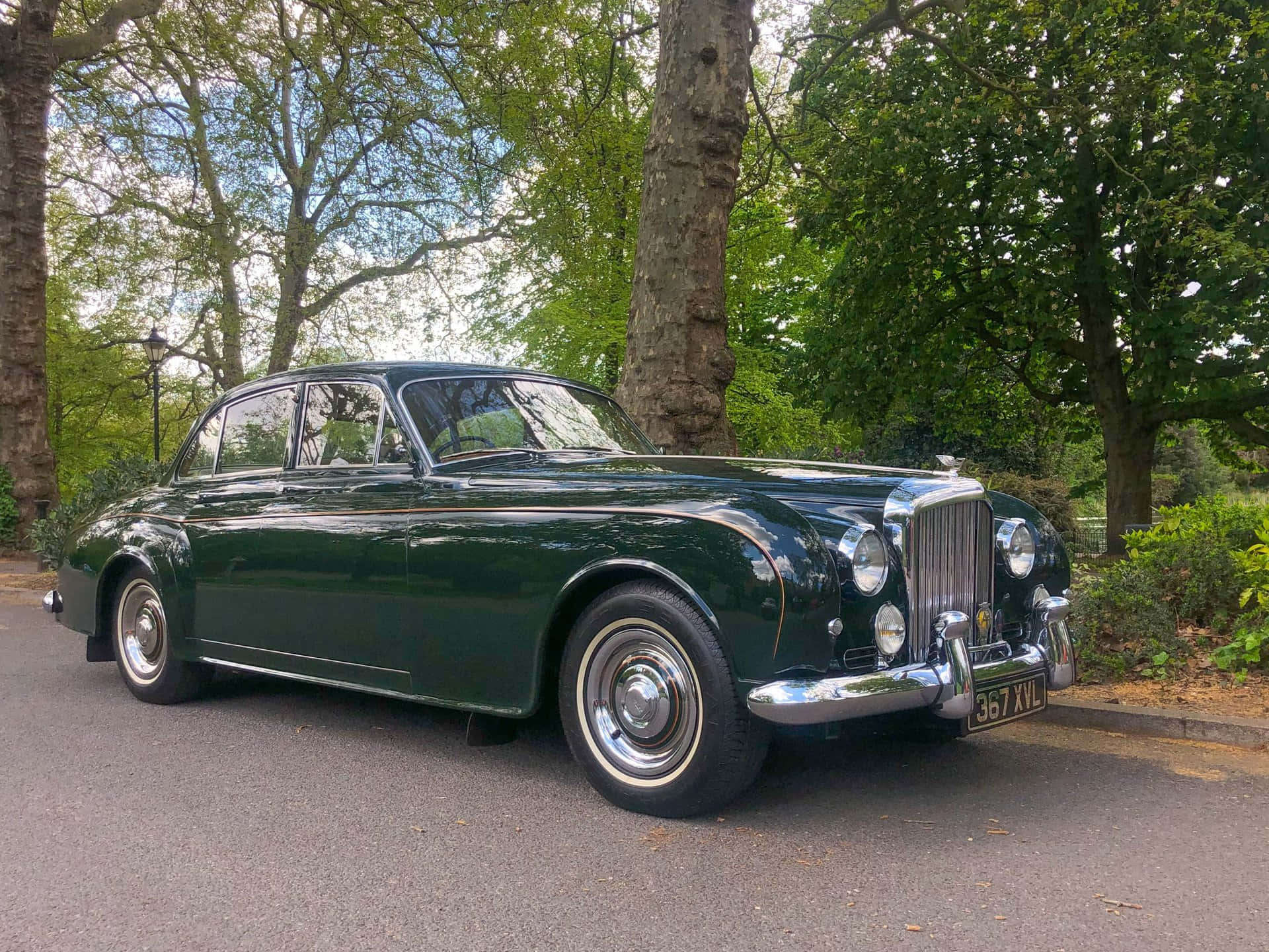 Bentley S2 桌布 壁紙 — 一輛光澤深綠色復古賓利房車停在樹蔭下的瀝青路上，陽光普照。