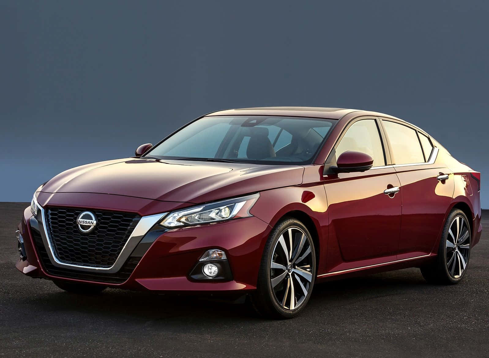 Nissan Altima 桌布 壁紙 — 一輛光澤的栗色日產轎車在柔和灰色背景前的攝影棚燈光下閃閃發光。