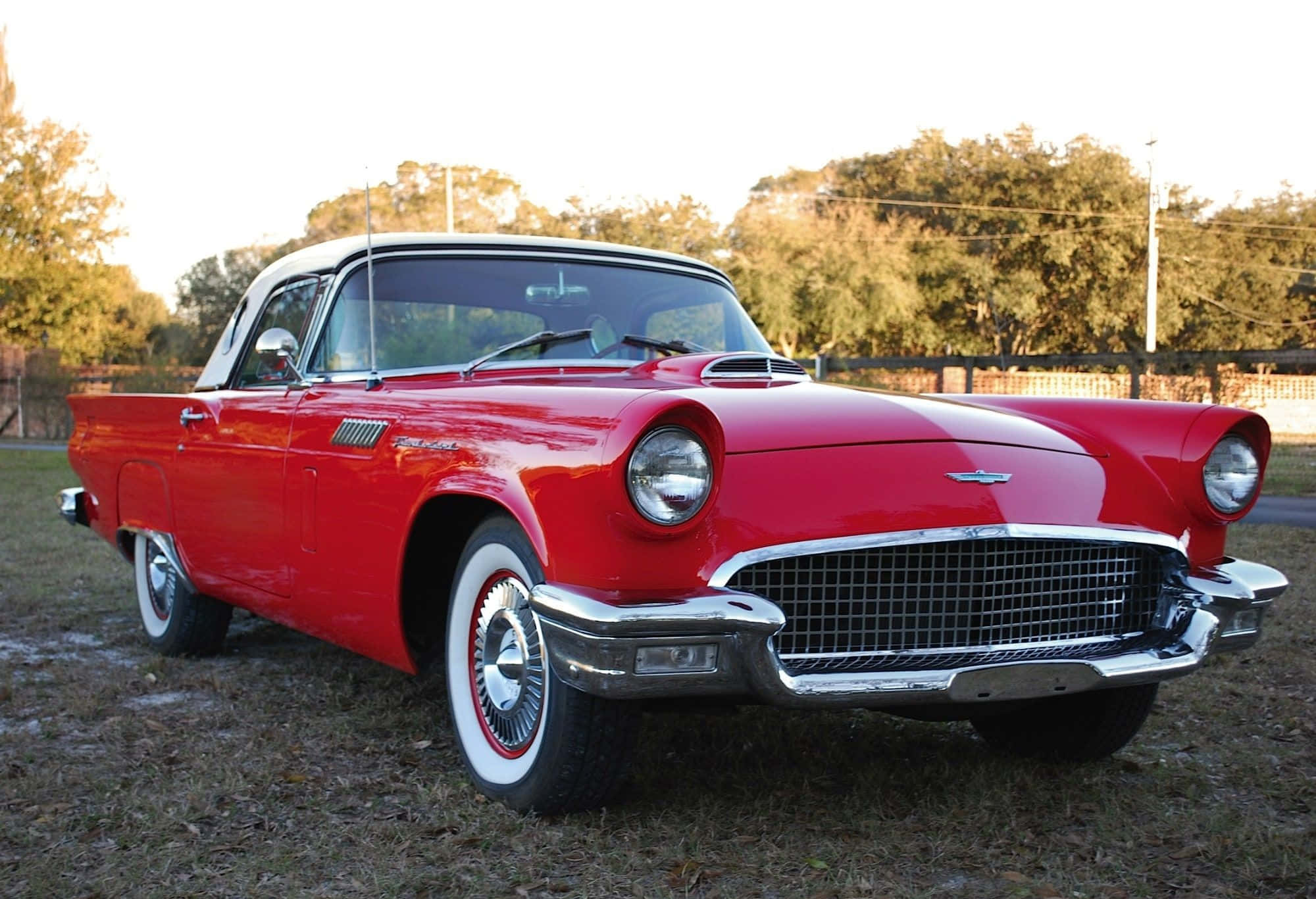 Ford Thunderbird 桌布 壁紙 — 一輛閃亮的紅色1950年代福特雷鳥敞篷車在金色午後陽光下，在草地上閃閃發光。