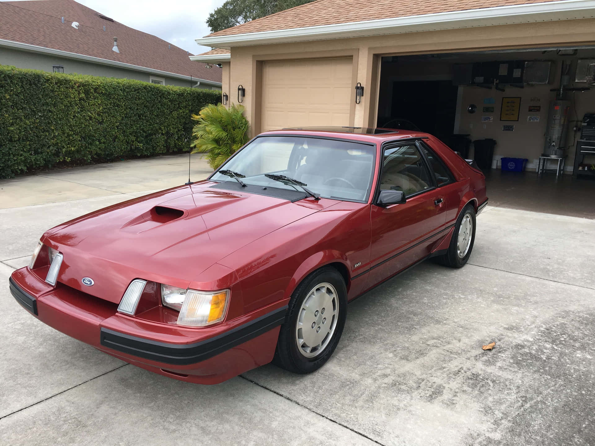  壁紙 — 一輛光澤的紅色1980年代福特野馬停泊在米色車庫前的混凝土車道上，車庫旁有綠色樹籬。