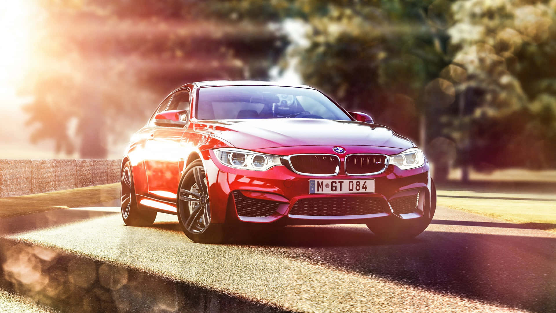 紅色BMW M4 GT4在陽光明媚的賽道上奔馳，背景有樹木。