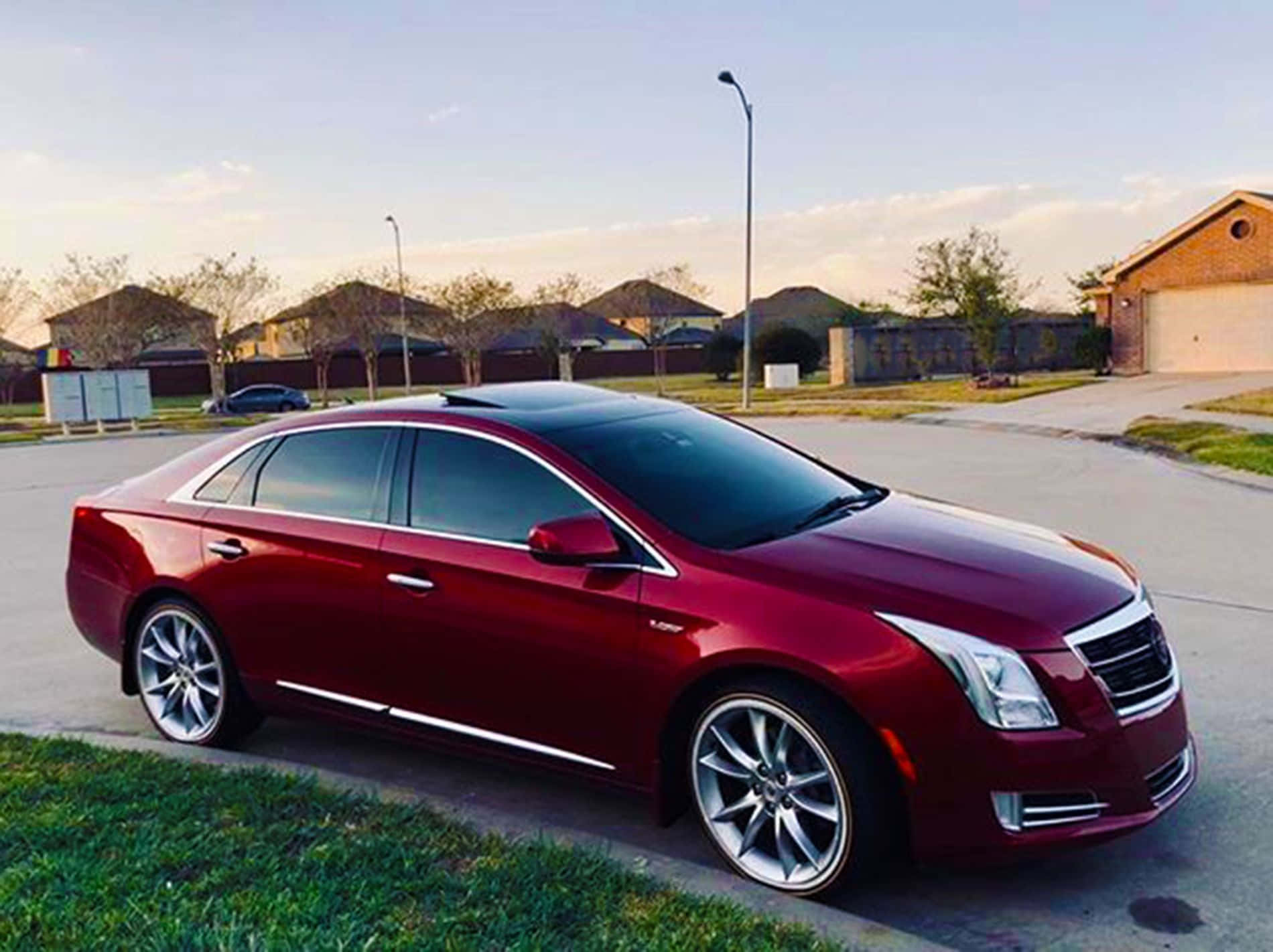 Cadillac Xts 桌布 壁紙 — 一輛光澤的紅色Cadillac ATS停泊在郊區街道上，正值黃金時刻，柔和陽光突顯其流暢曲線和鉻合金輪圈。