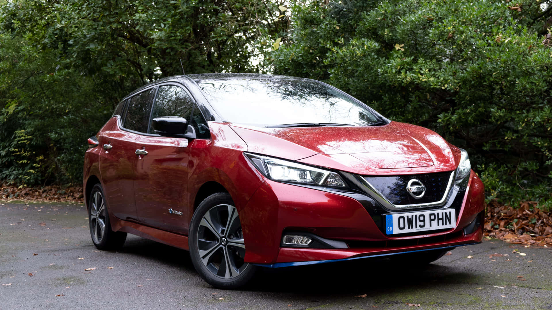 Nissan Leaf 桌布 壁紙 — 一輛光澤的紅色日產Leaf電動車停泊在潮濕的車道上，周圍是茂密的綠色灌木叢和落下的秋葉。