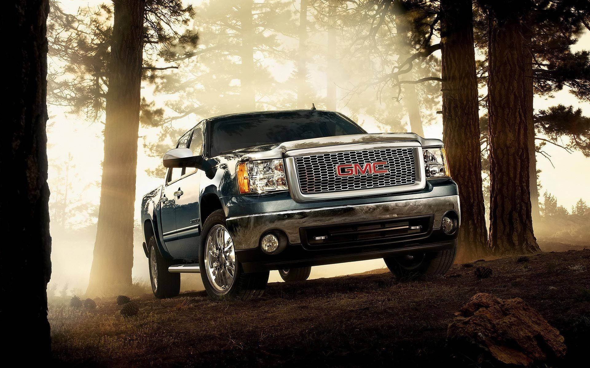 GMC Sierra行駛於森林 壁紙 — 一輛藍色GMC Sierra貨車停在高大的松樹之間，金色陽光穿過霧氣瀰漫的森林。