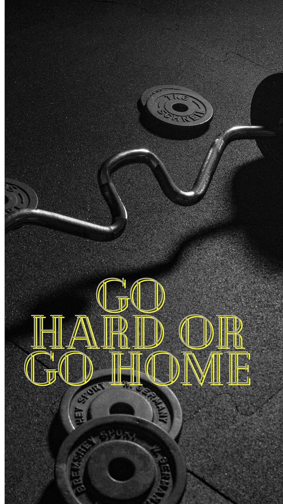 健身房啞鈴和槓鈴，附有「go hard or go home」文字。