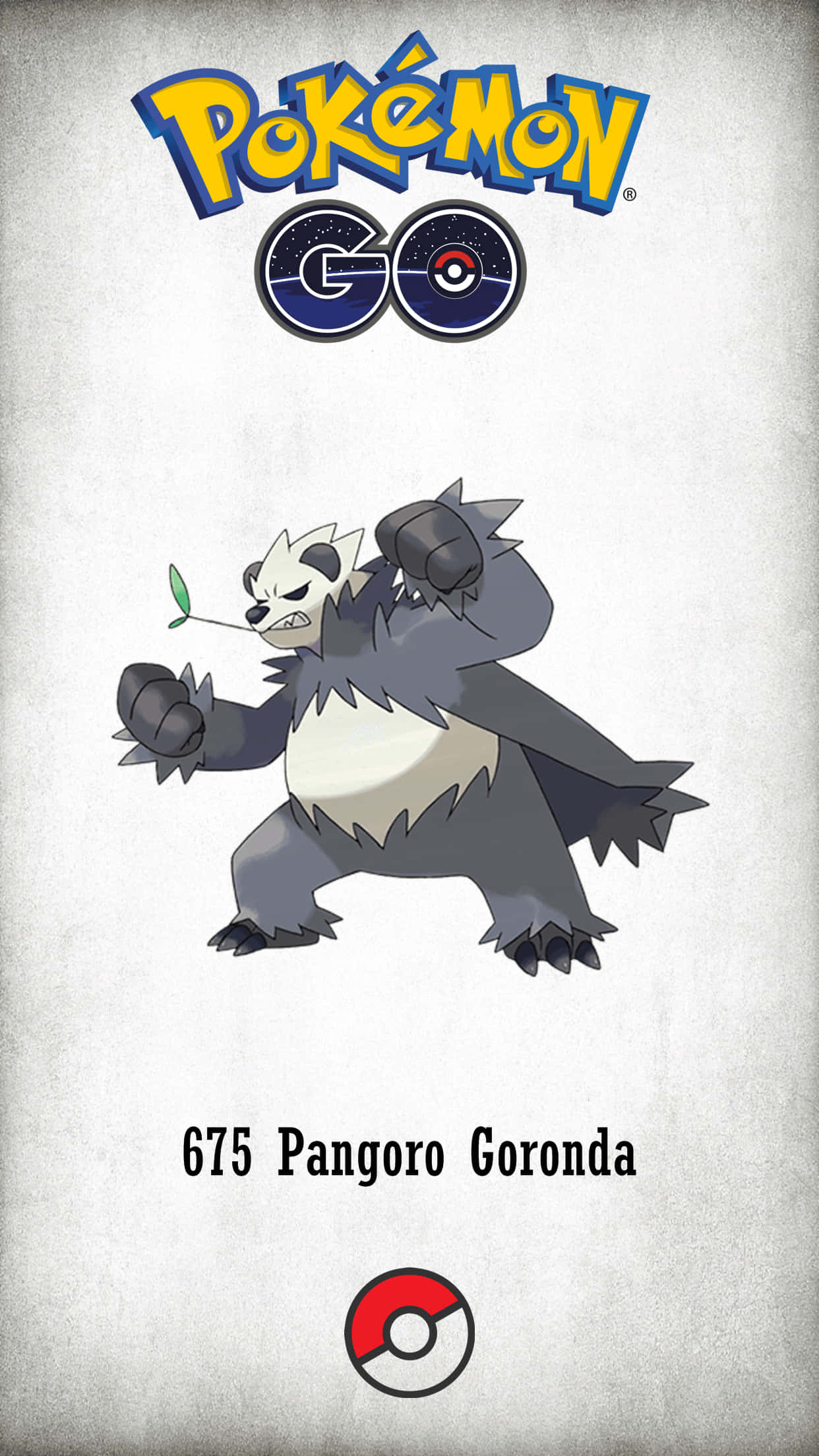 寶可夢GO 白色班戈羅海報 壁紙 — 來自 Pokémon GO 的風格化卡通頑熊貓，嘴裡叼著一片葉子，站在有紋理的灰色背景前。