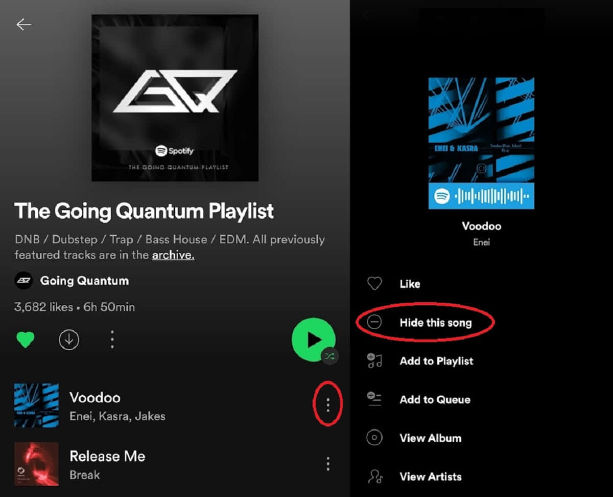 《Going Quantum》播放清單歌曲圖片 壁紙 — Spotify 播放清單畫面顯示「The Going Quantum Playlist」，並圈出歌曲「Voodoo」的「隱藏這首歌」選項。