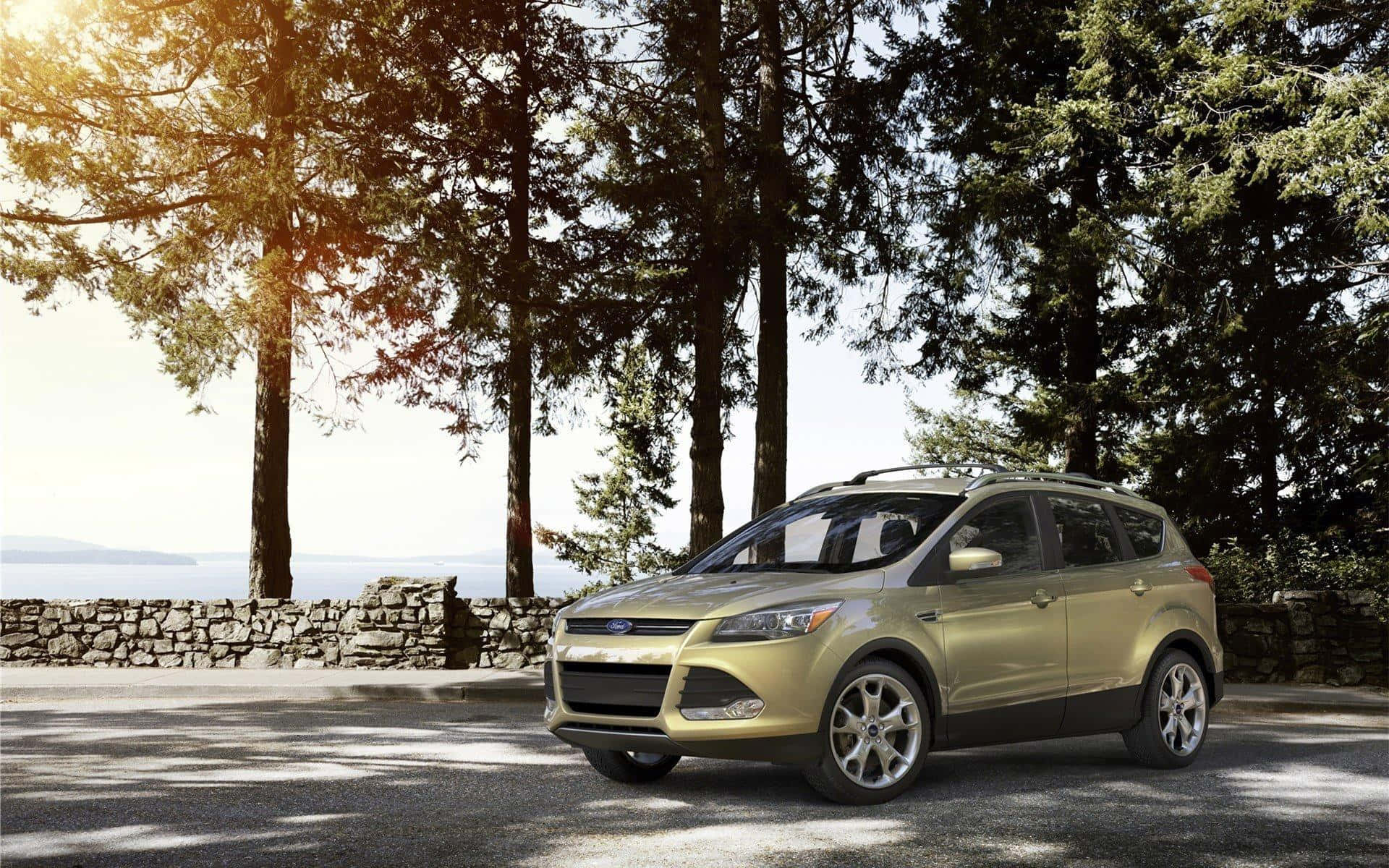 Ford Escape 桌布 壁紙 — 一輛金色SUV停在陰涼的道路上，旁邊是高聳的常綠樹，有石牆和遠處的水面，在明亮的陽光下。