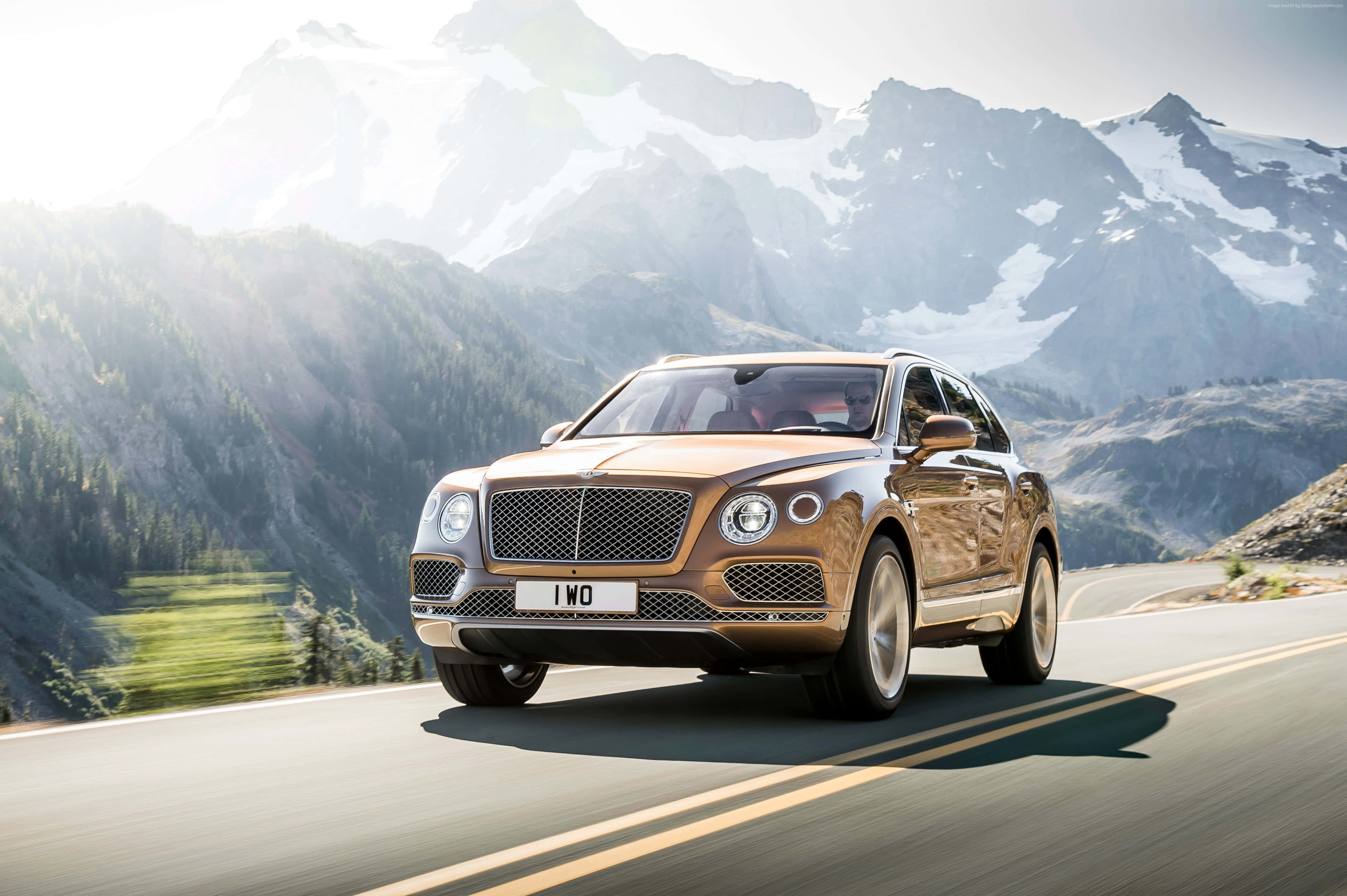Bentley Bentayga 桌布 壁紙 — 一輛金色賓利Bentayga SUV沿著蜿蜒的山路行駛，背景是白雪覆蓋的山峰和陽光照耀的森林。