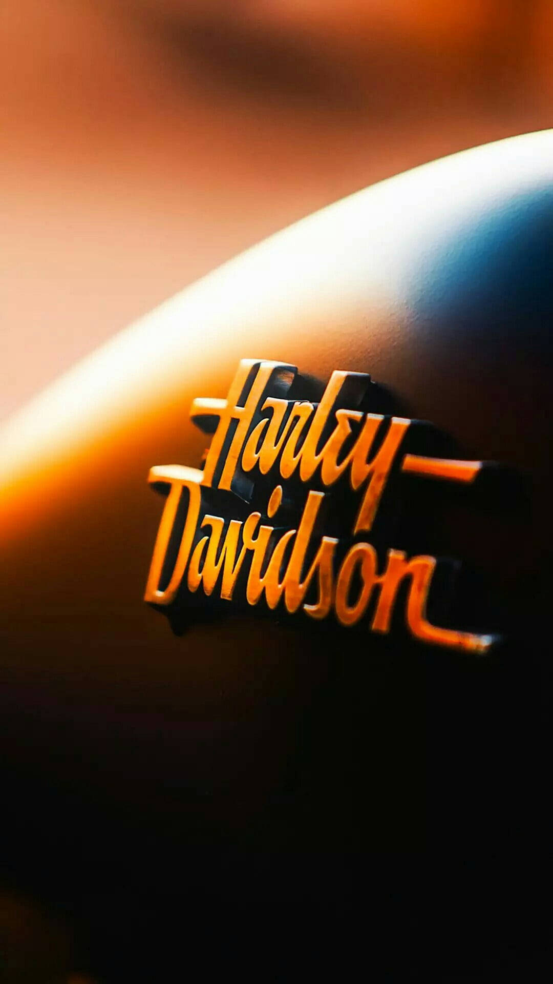 Harley-Davidson motorcycle logo glowing in golden sunset light.