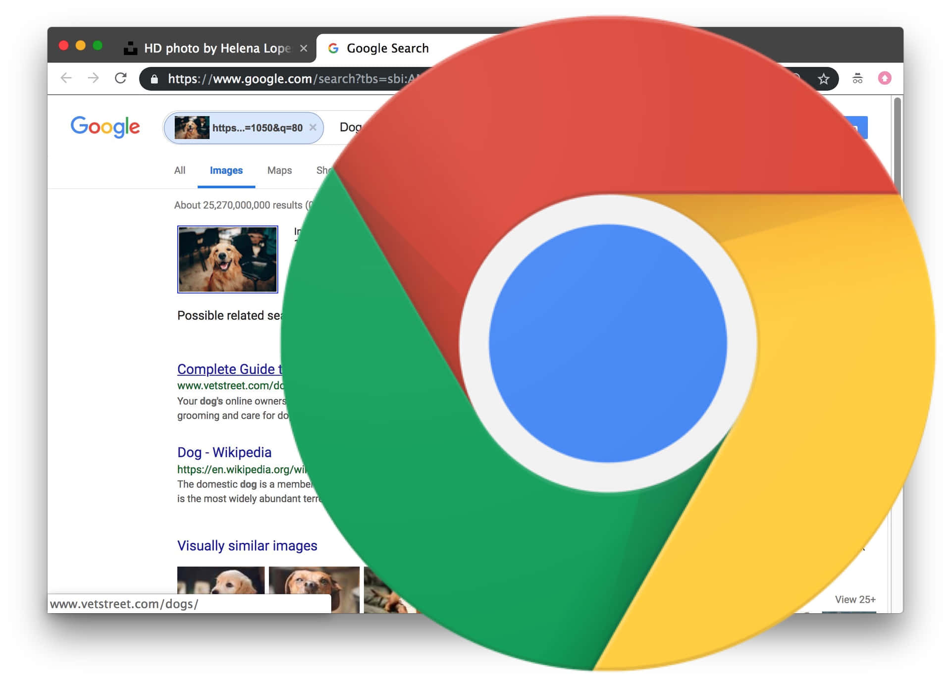 Google Chrome 圖片 — Google Chrome GIF 壁紙