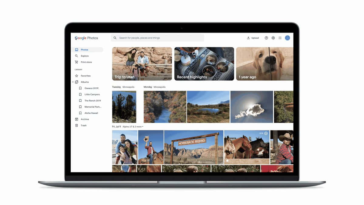 筆記本電腦上的 Google 相片 壁紙 — 手提電腦屏幕顯示Google相簿，包含個人相簿和精選內容的網格，包括旅行、自然、寵物和家庭時刻。