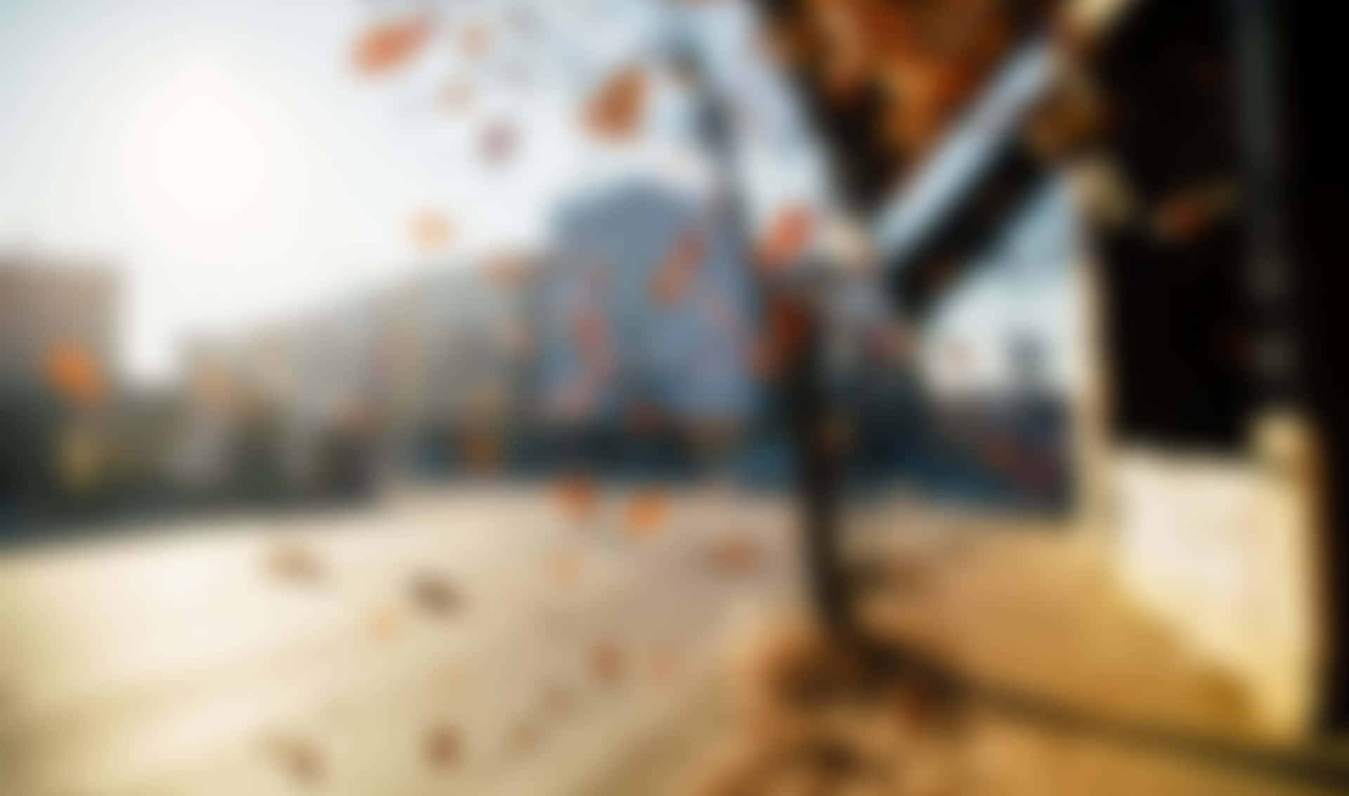 秋葉在模糊的城市建築前飄浮。