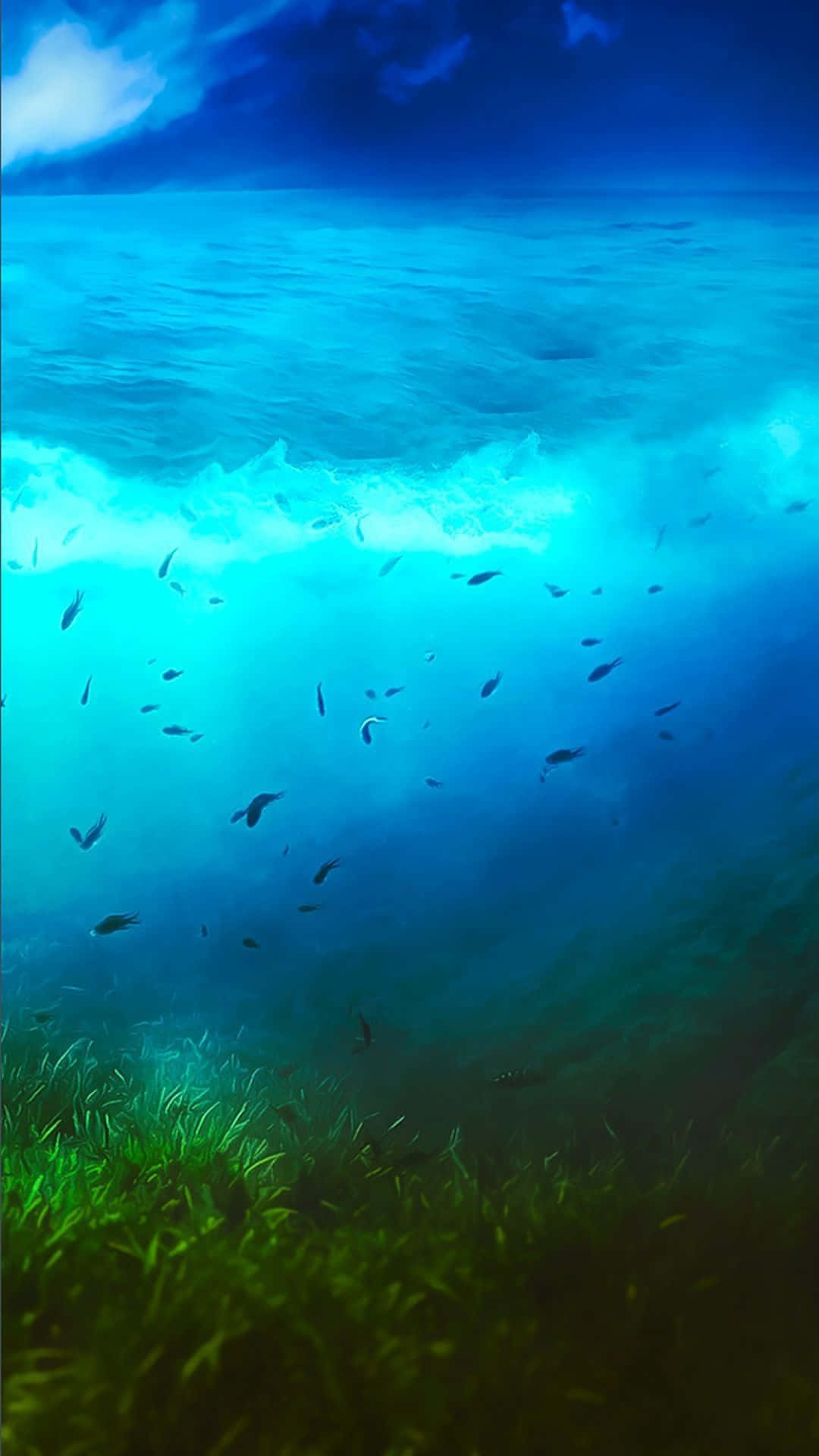 海底場景，魚兒在翻湧的海浪下的海草附近游動。