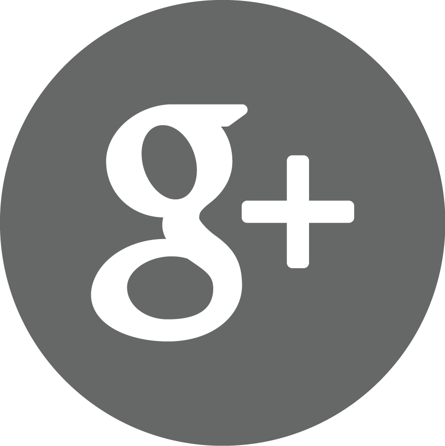 Google Plus圖標 壁紙 — 一個簡約的灰色圓形標誌，帶有白色小寫 g 和加號。