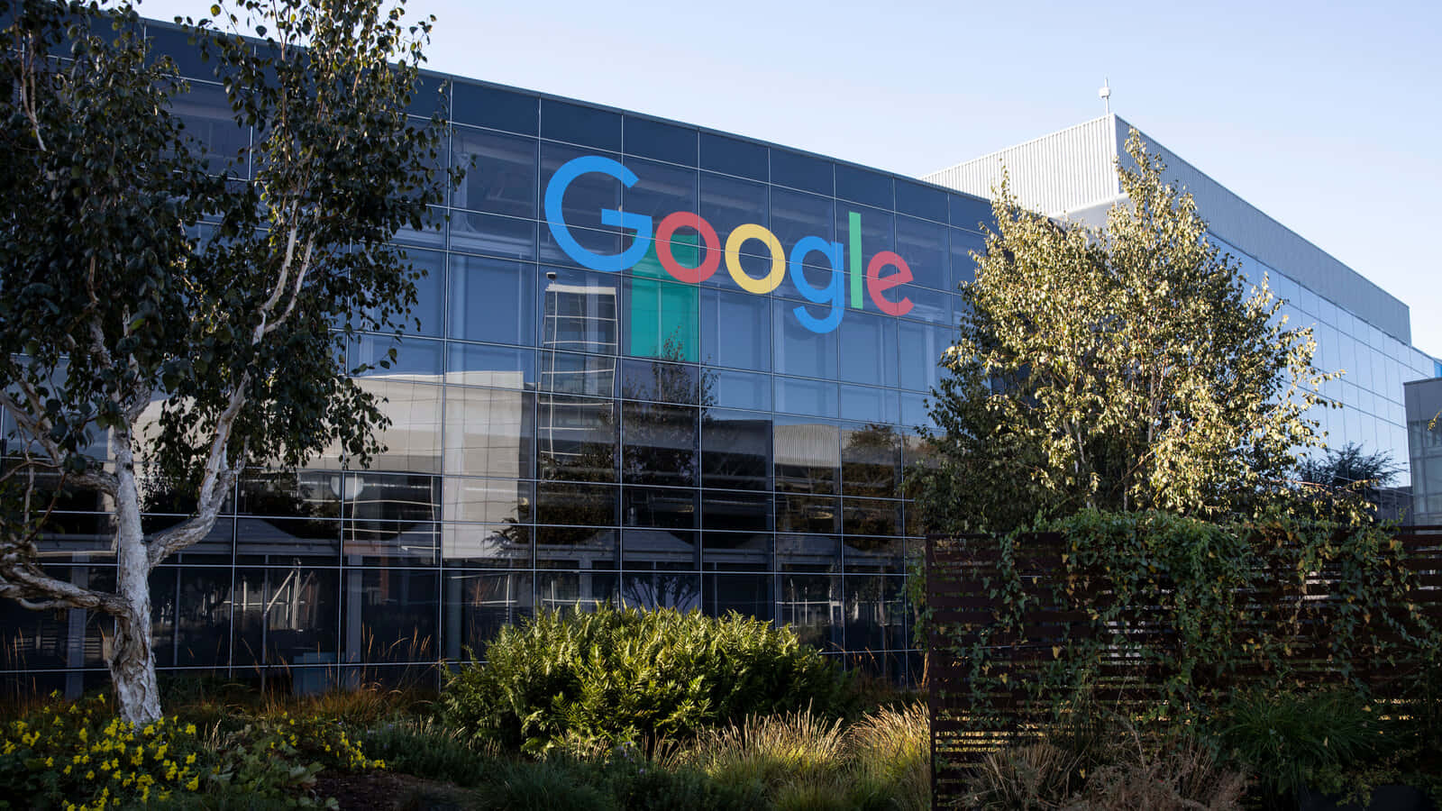 Google 辦公大樓，玻璃外牆和色彩繽紛的標誌，周圍環繞樹木。