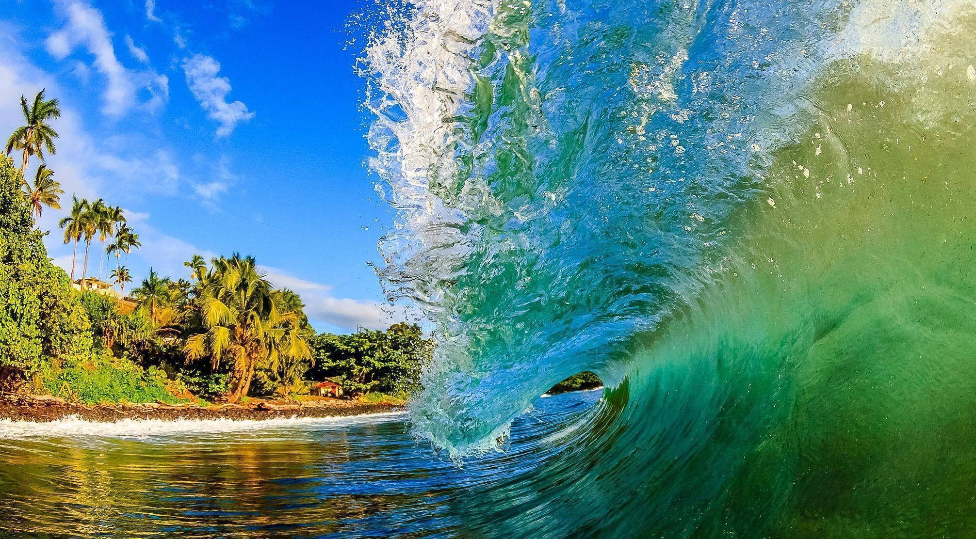 GoPro 拍攝的海浪內部視角 壁紙 — 在明亮的藍天下，巨大的藍綠色波浪翻滾過棕櫚樹環繞的熱帶海岸線。